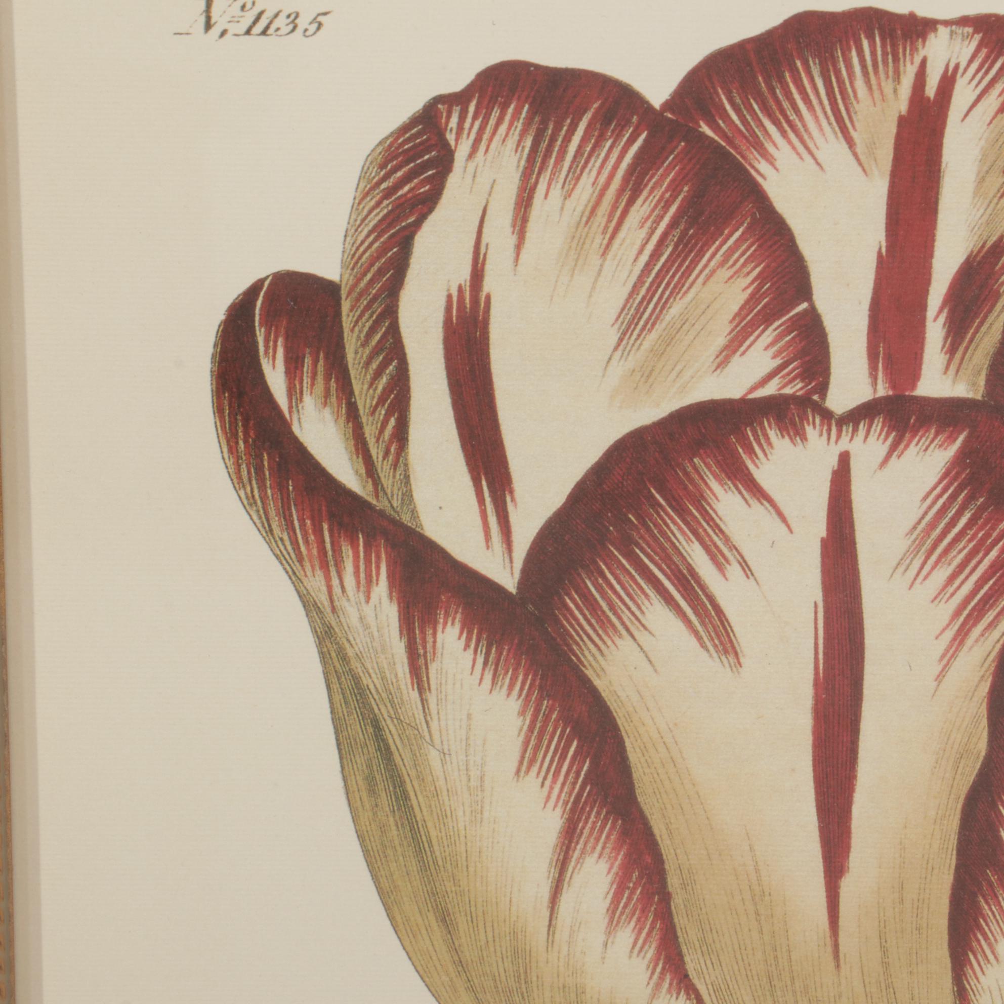 Floral Offset Lithographs "Garden Tulip" and "Magnolia Fraseri", Circa 2000