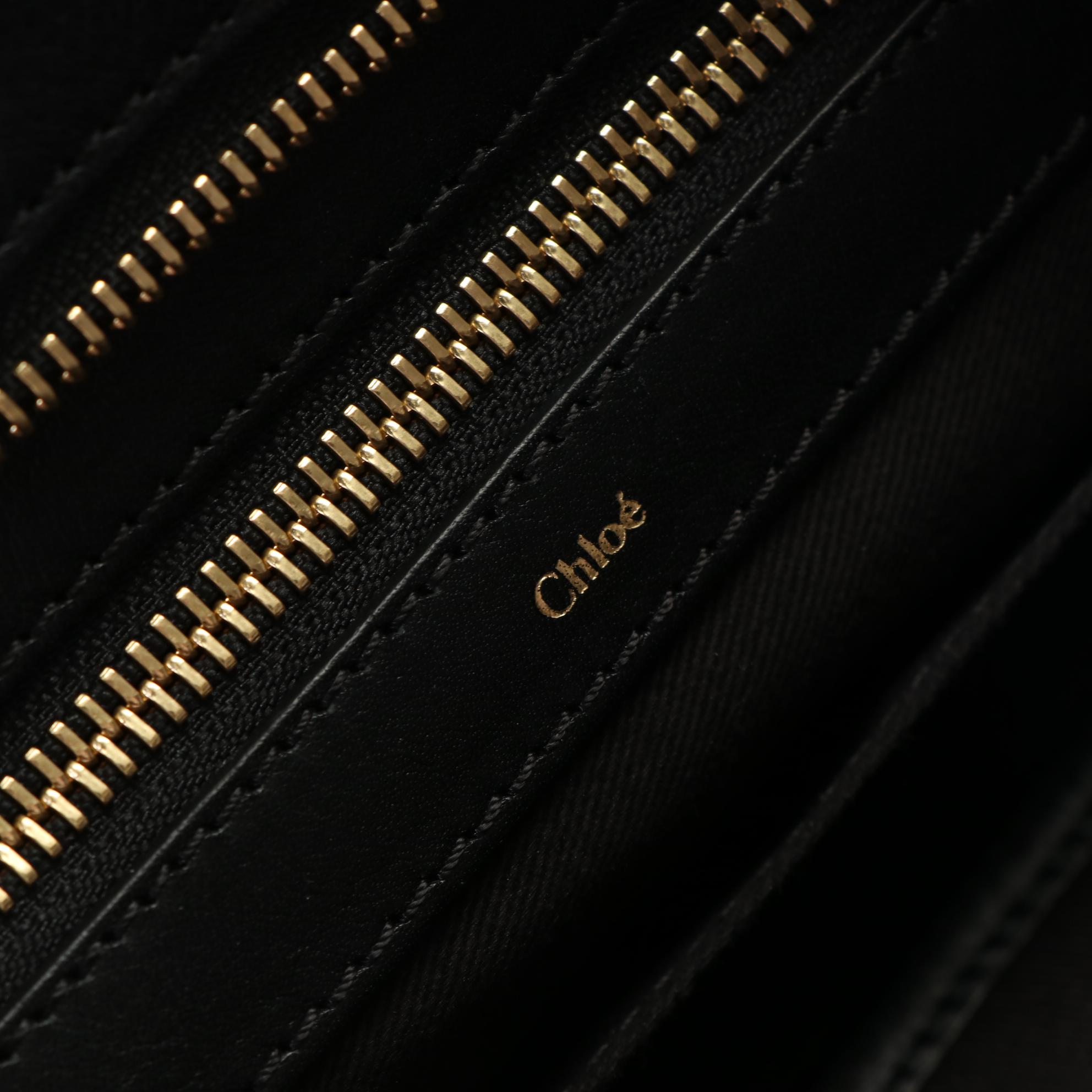 Chloé Alice Convertible Handbag in Bicolor Goatskin-Calfskin Leather with Strap