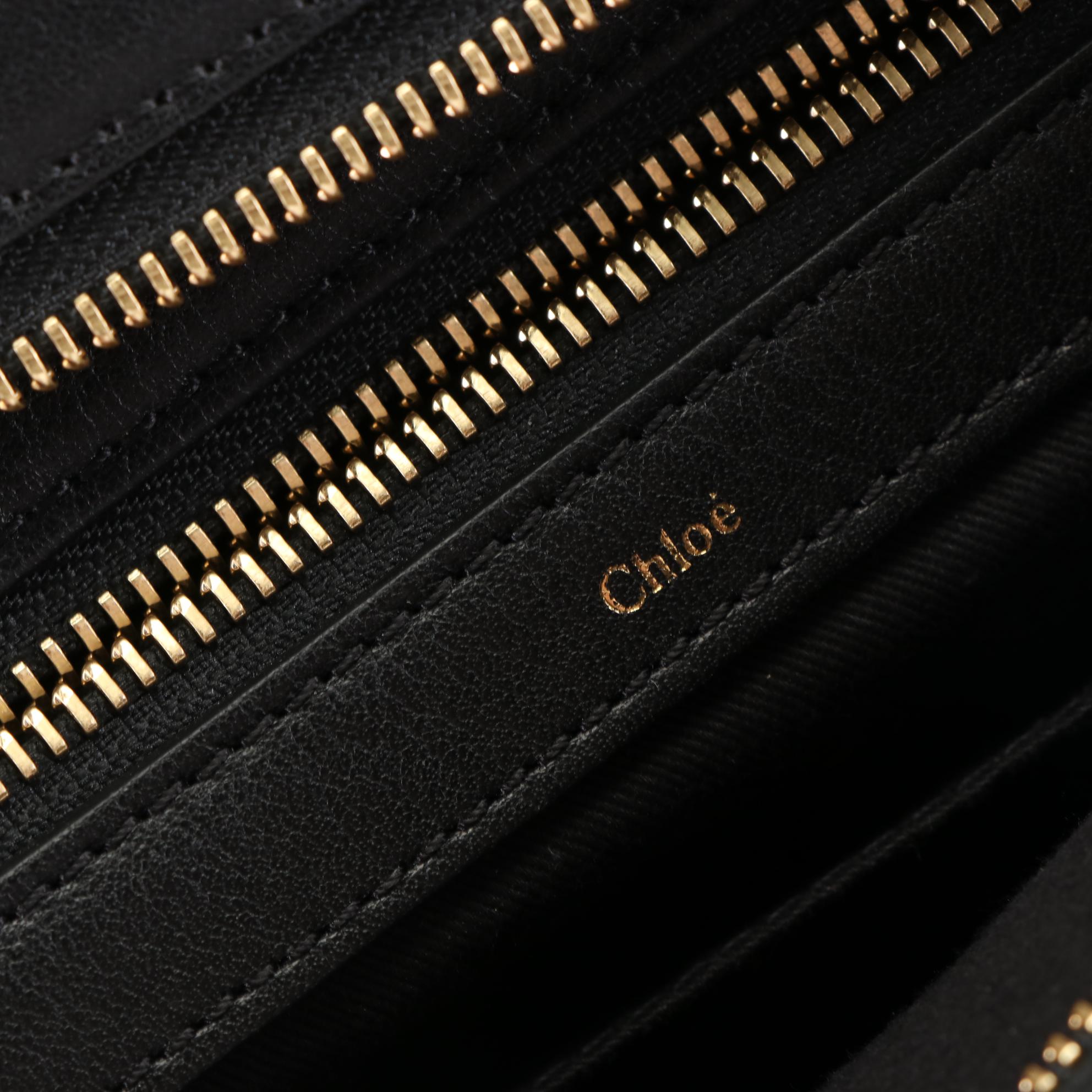 Chloé Alice Convertible Handbag in Bicolor Goatskin-Calfskin Leather with Strap