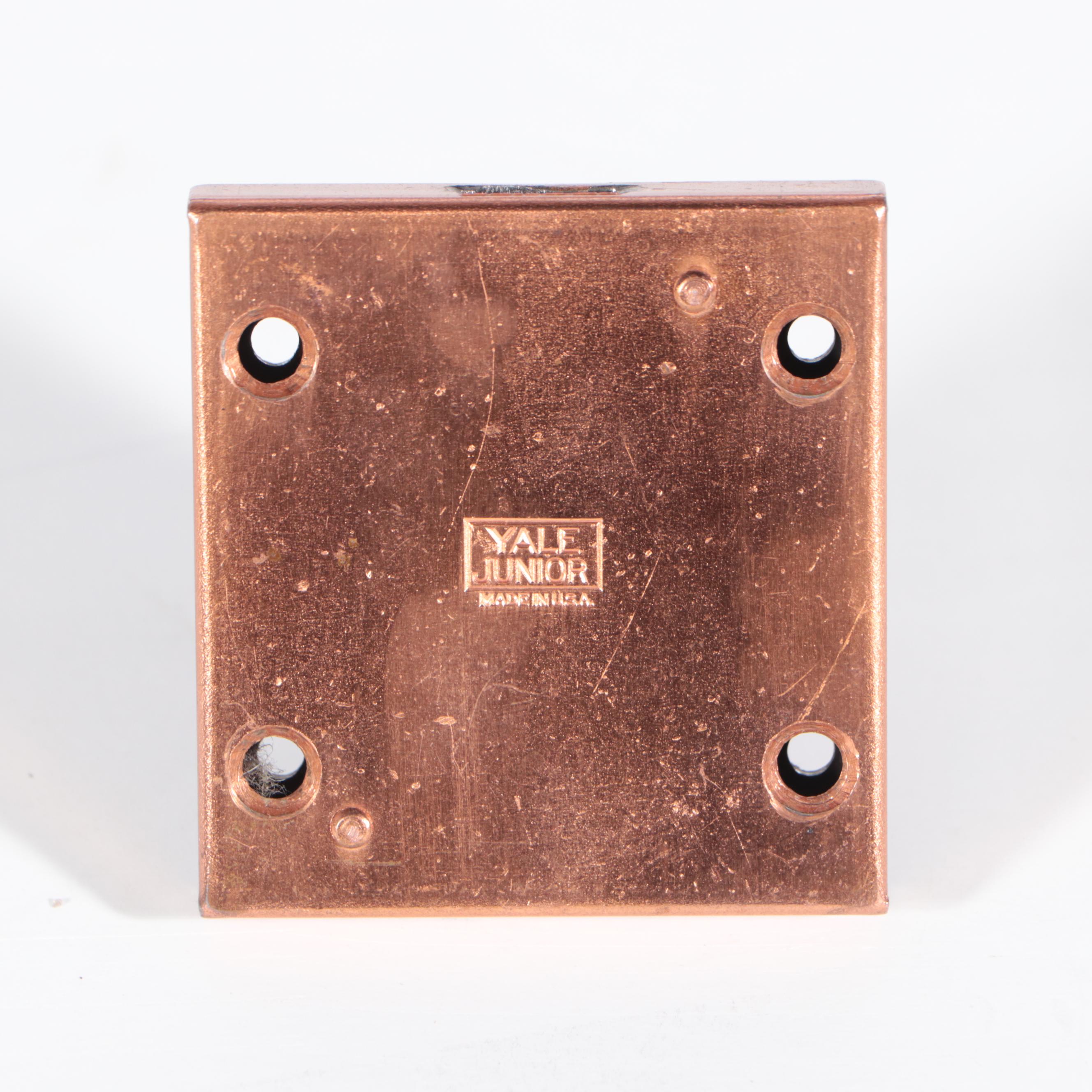 Caswell-Runyan Co. Chippendale Style Mahogany and Cedar Lift-Lid Chest