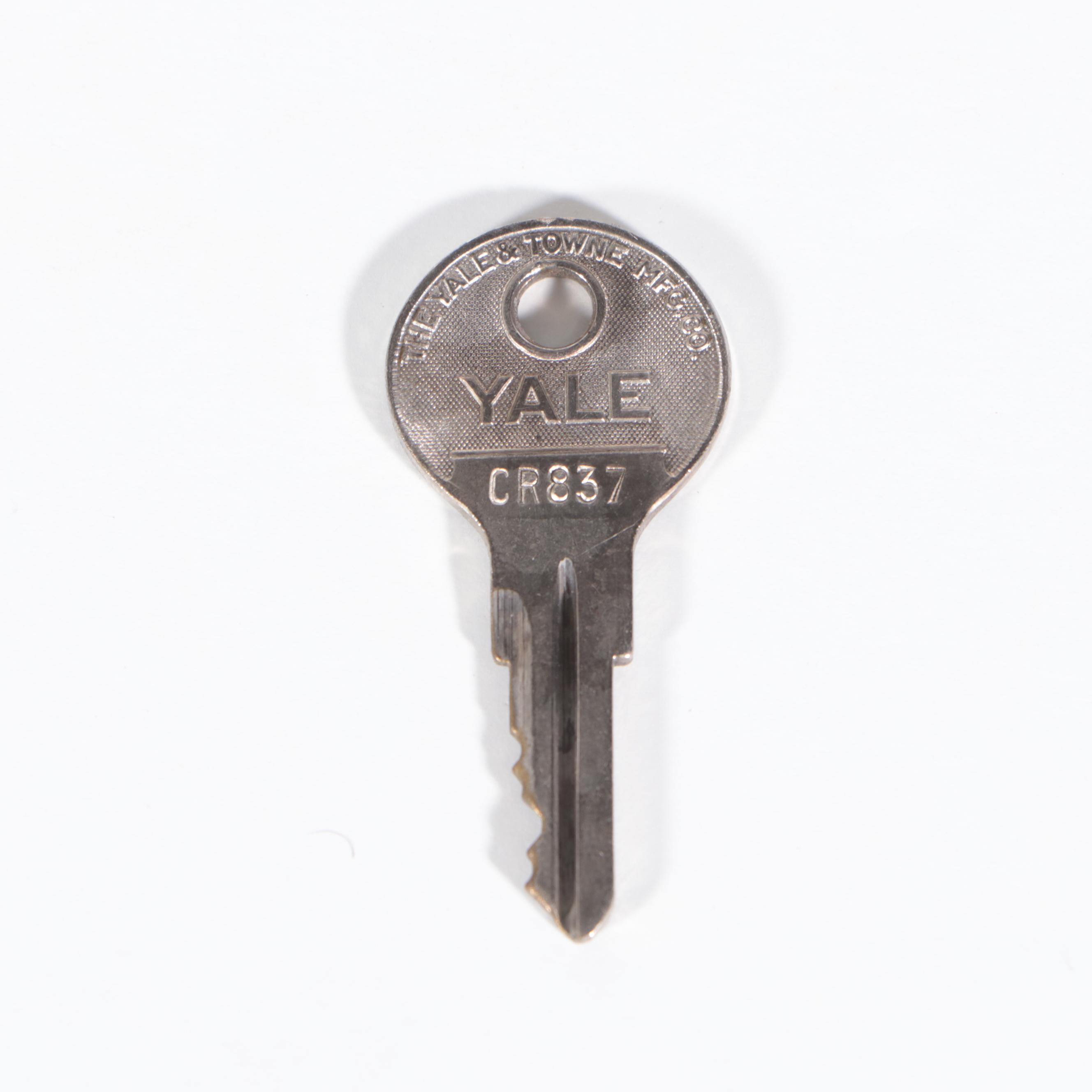 Caswell-Runyan Co. Chippendale Style Mahogany and Cedar Lift-Lid Chest