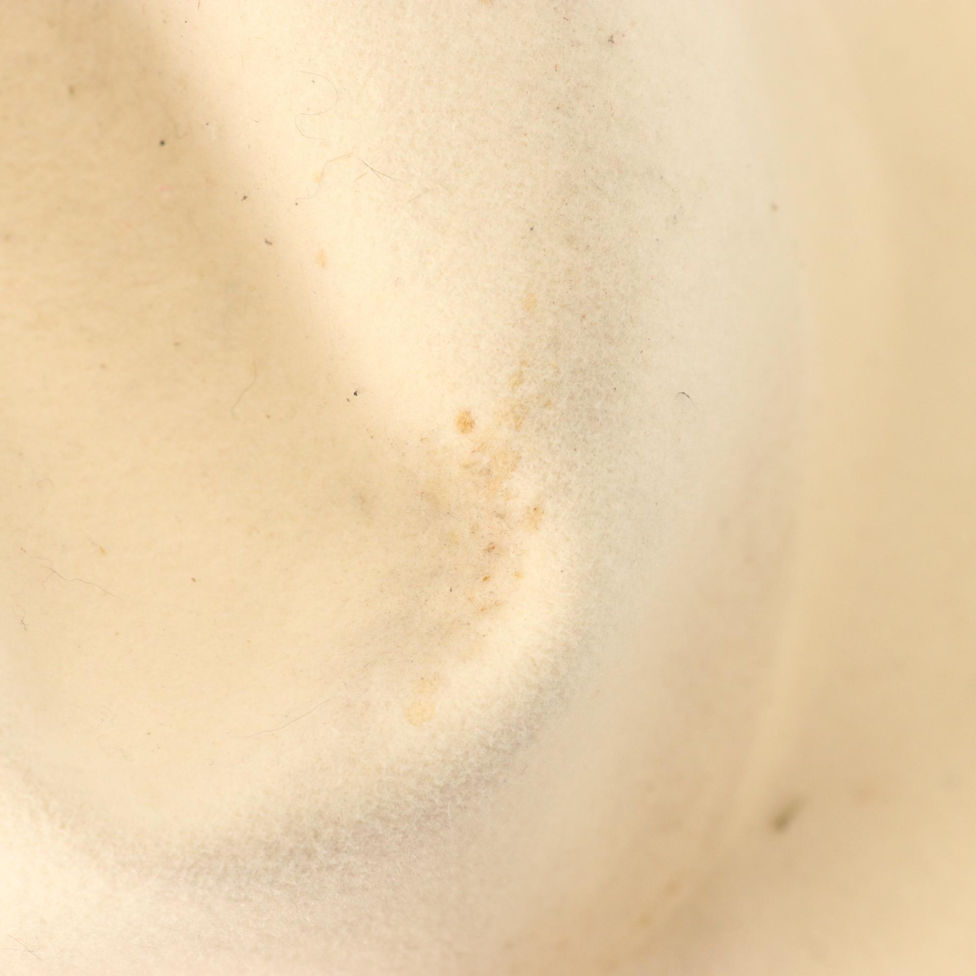 John Frederics Charmer Wide Brimmed Halo Hat with Other Felt Homburg Hat