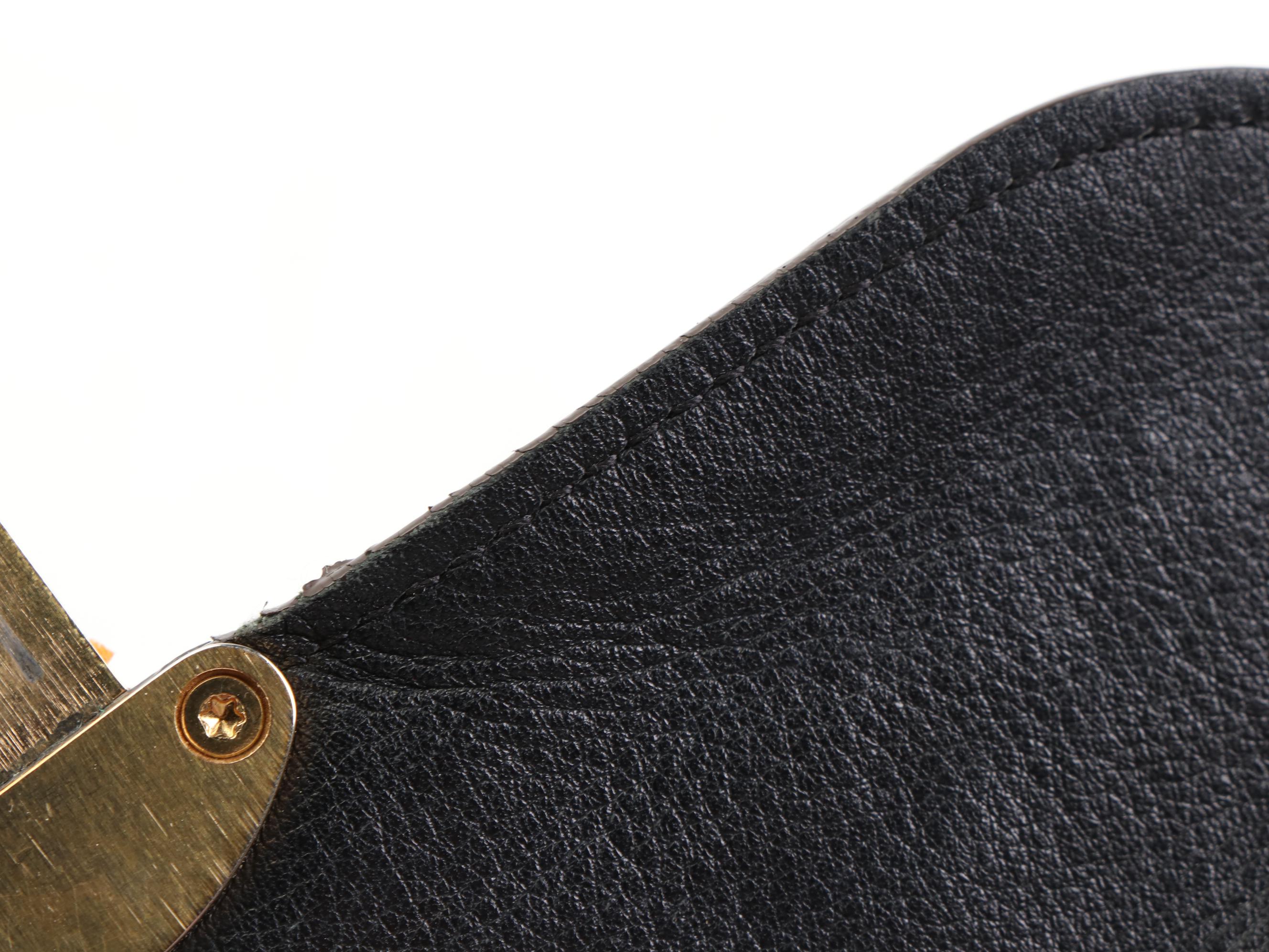 Louis Vuitton Iris Wallet in Mahina Leather