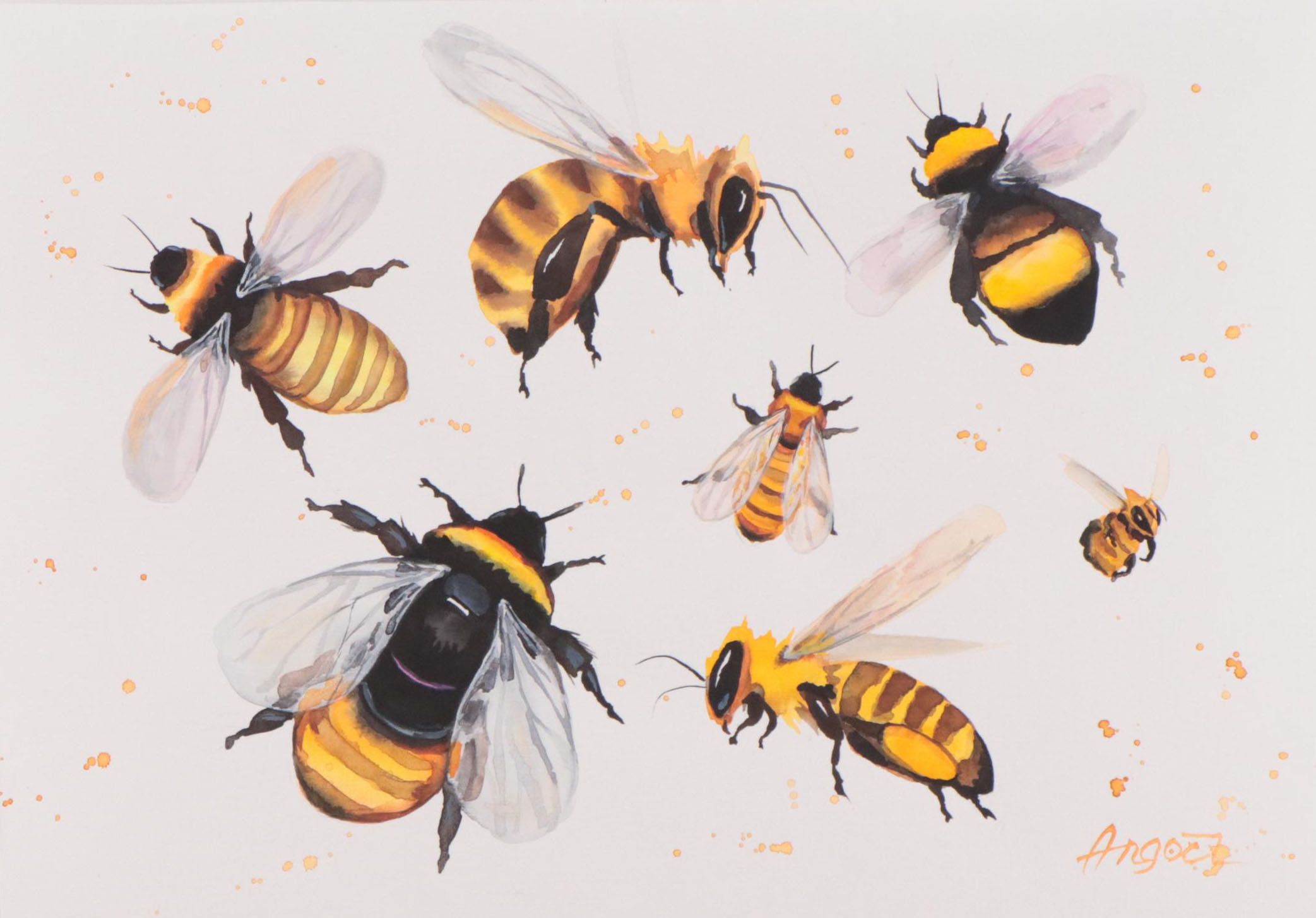 Anne Gorywine Watercolor Painting of Bees, 21st Century