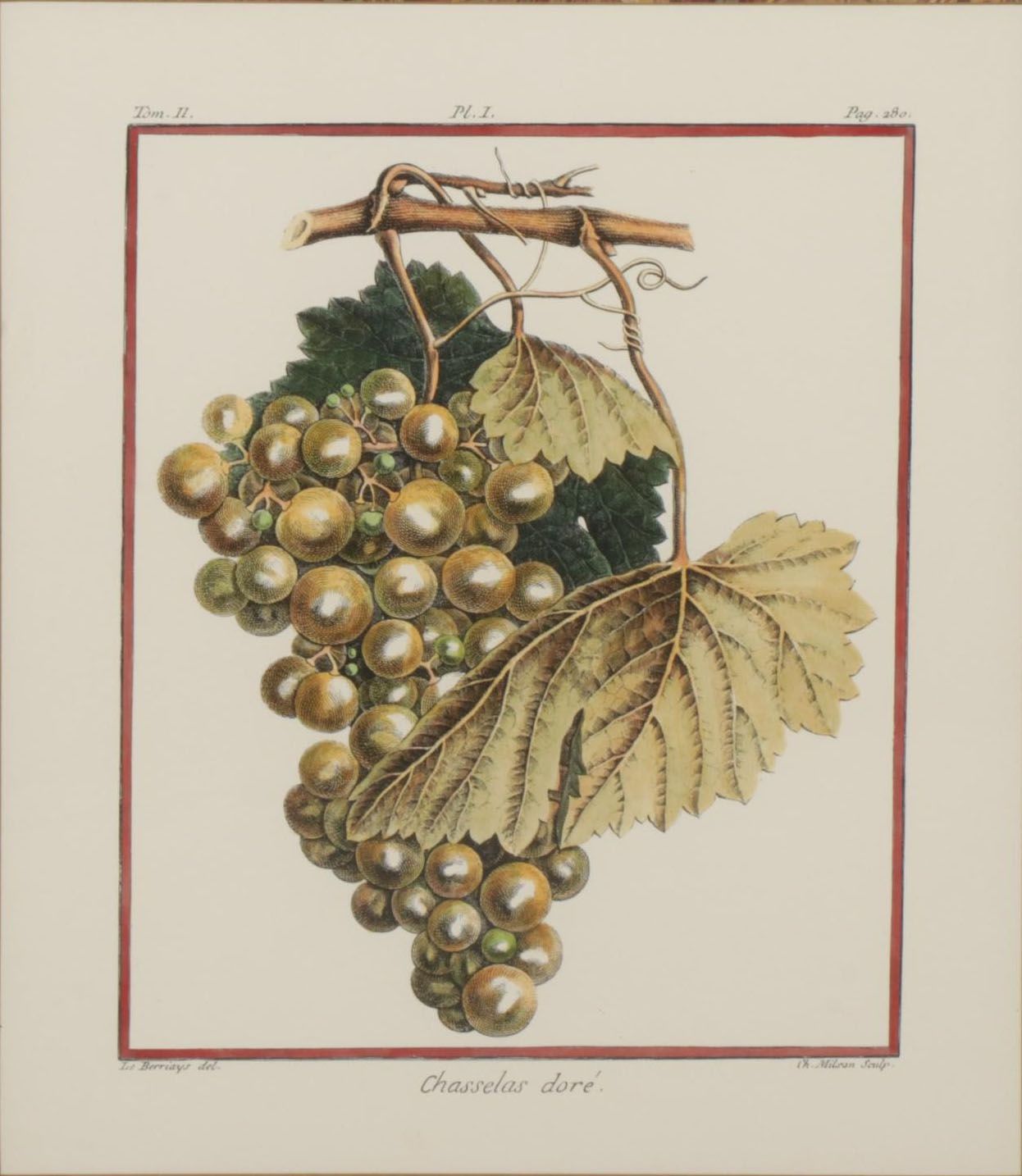 Fruit Hand-Colored Lithographs After Abbé Le Berriays, Late 20th Century