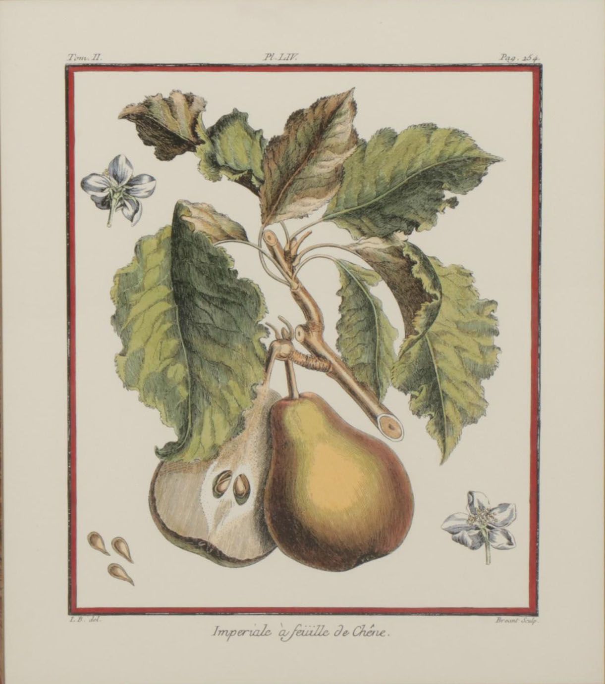 Fruit Hand-Colored Lithographs After Abbé Le Berriays, Late 20th Century