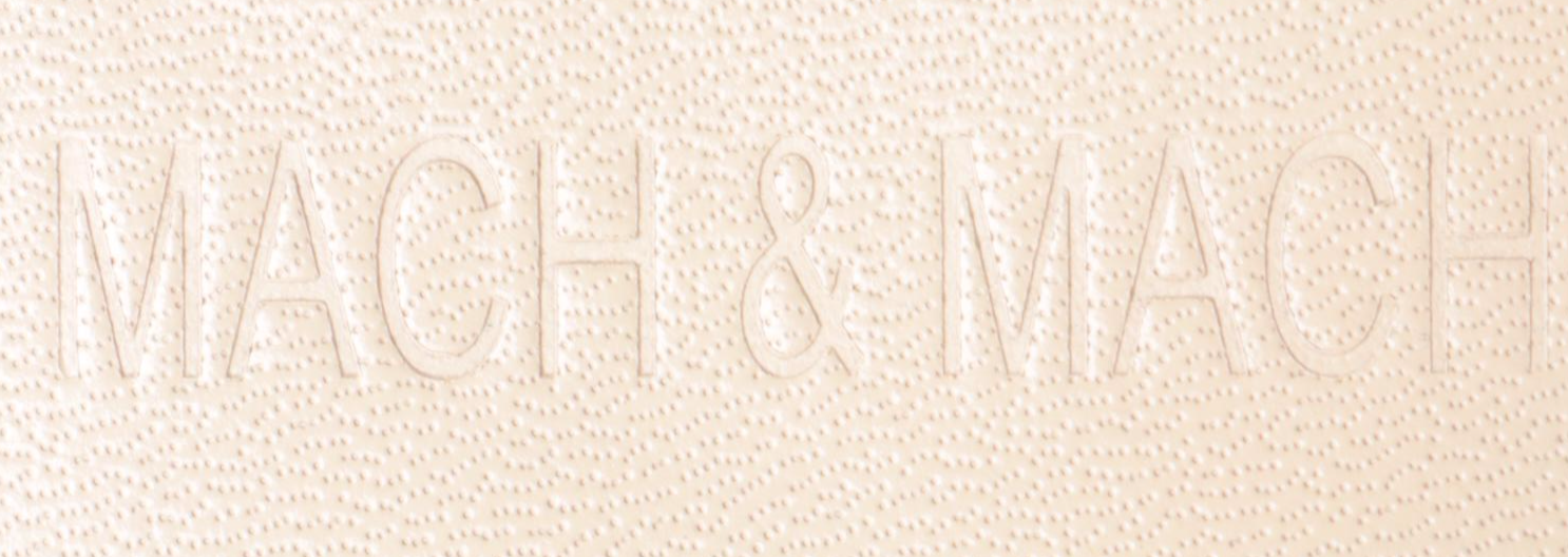 Mach & Mach Double Crystal Bow Pointed Toe Satin Pumps