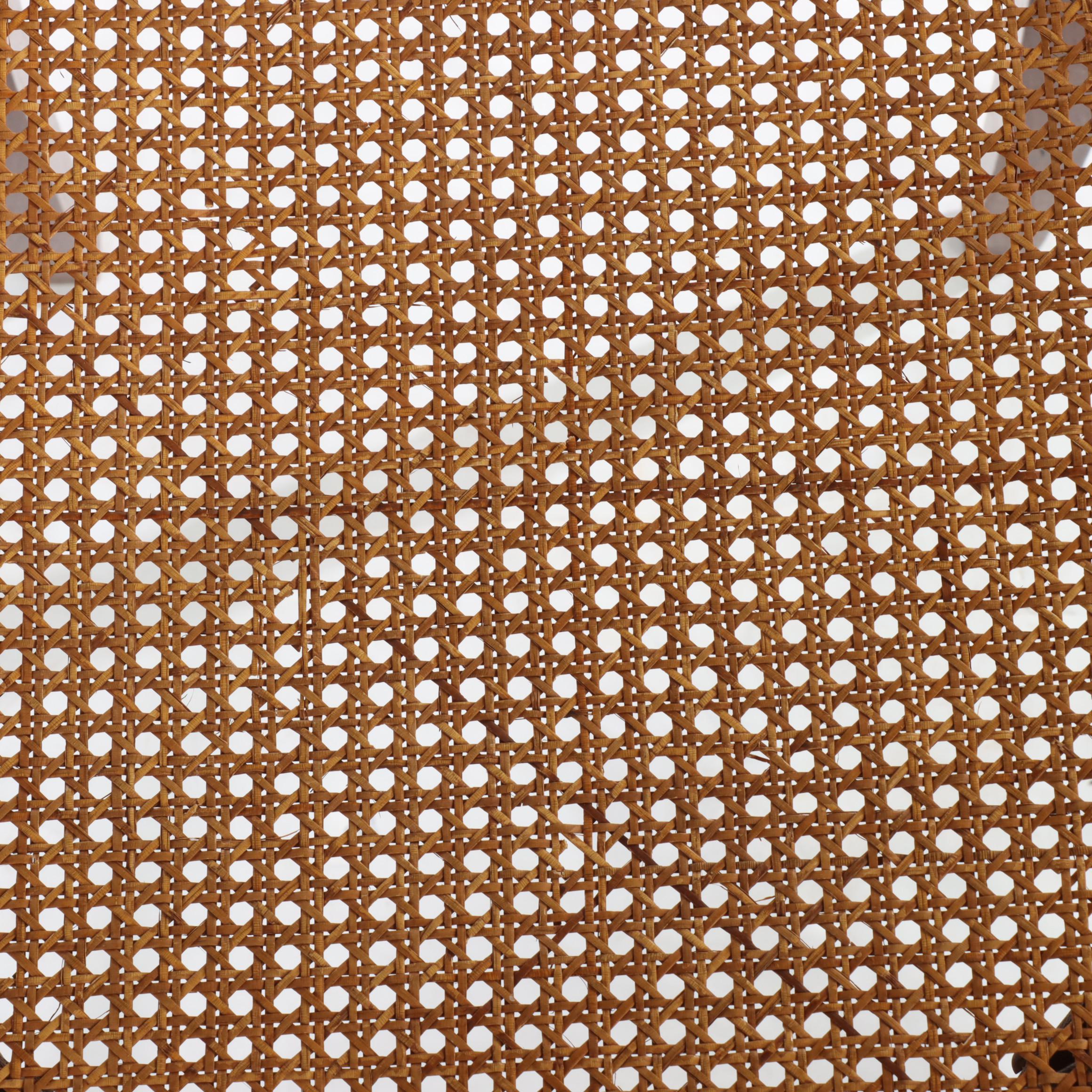 Pair of Louis XVI Style Gilt Metal-Mounted Walnut and Caned Salon Chairs