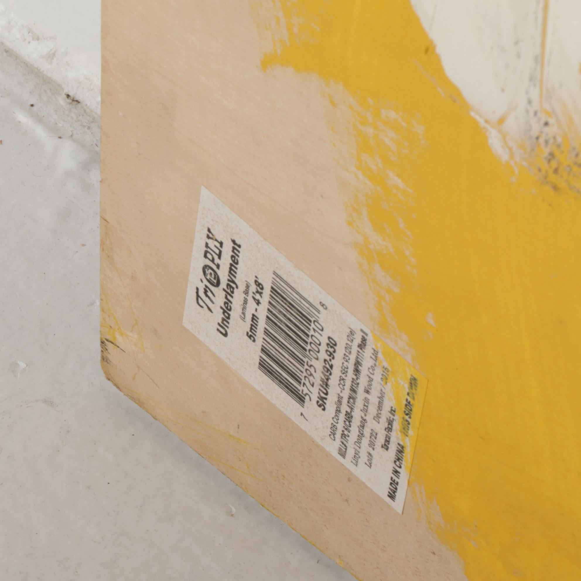 Anthony Eve Kemp Large-Scale Outsider Art Acrylic Painting, 2016