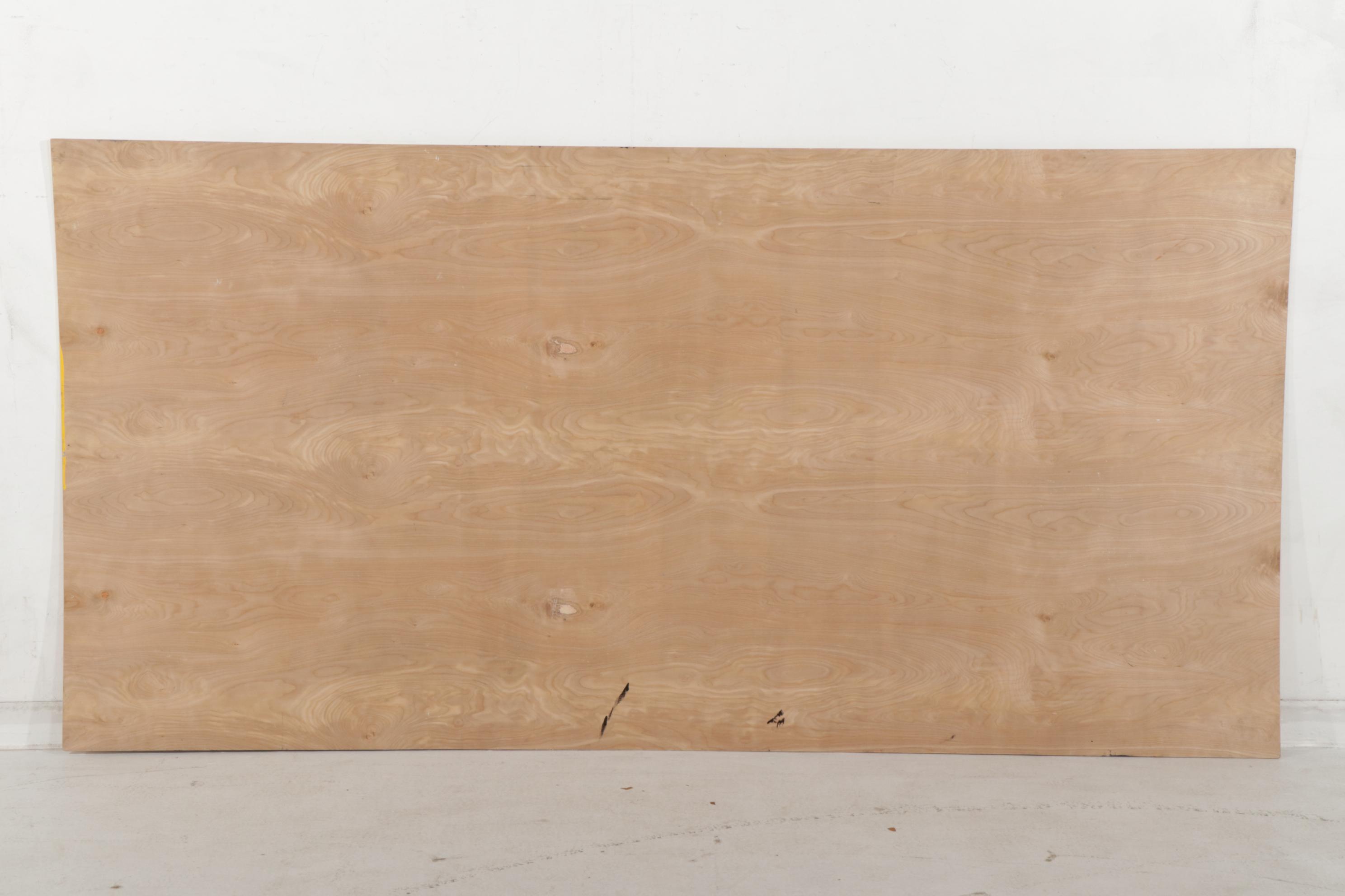 Anthony Eve Kemp Large-Scale Outsider Art Acrylic Painting, 2016