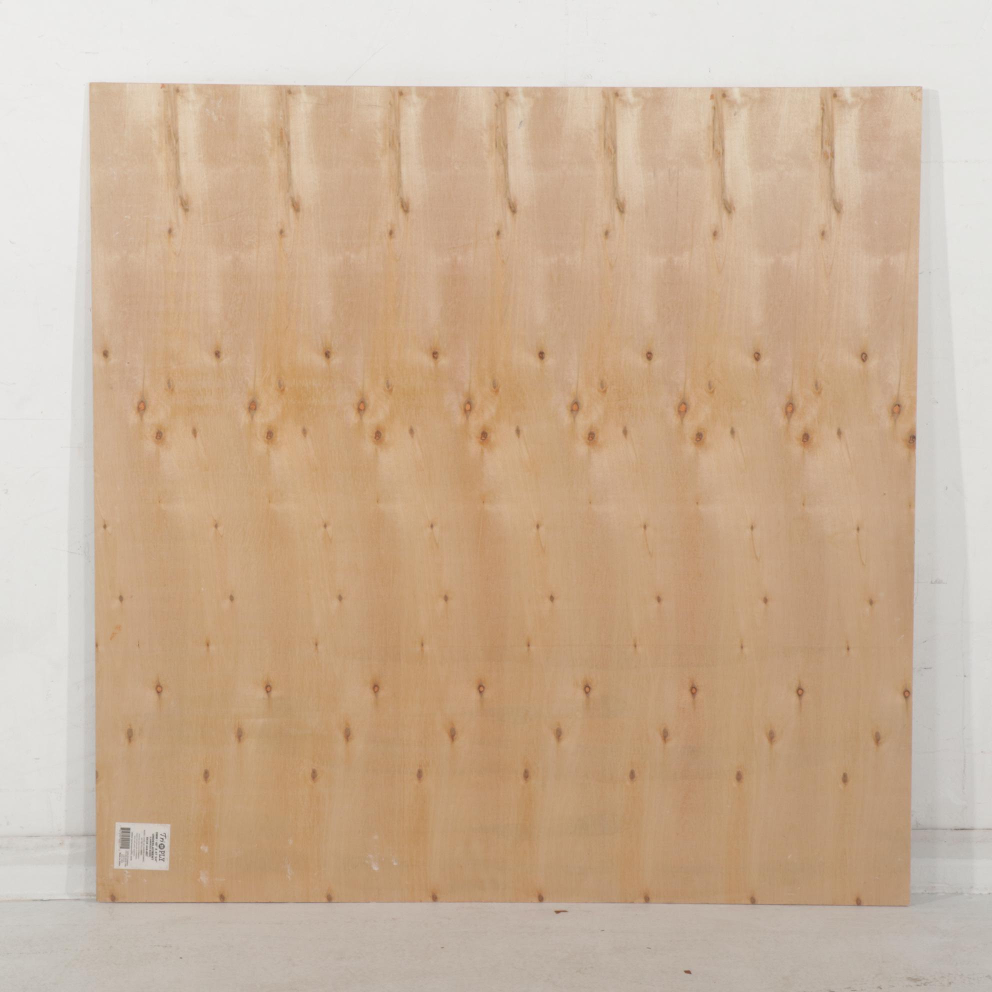 Anthony Eve Kemp Outsider Art Acrylic Painting, 2016