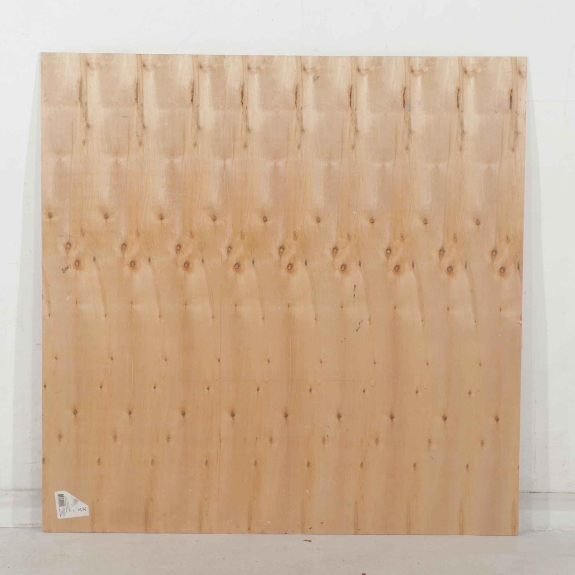 Anthony Eve Kemp Outsider Art Acrylic Painting "Nick at Peace," 2016