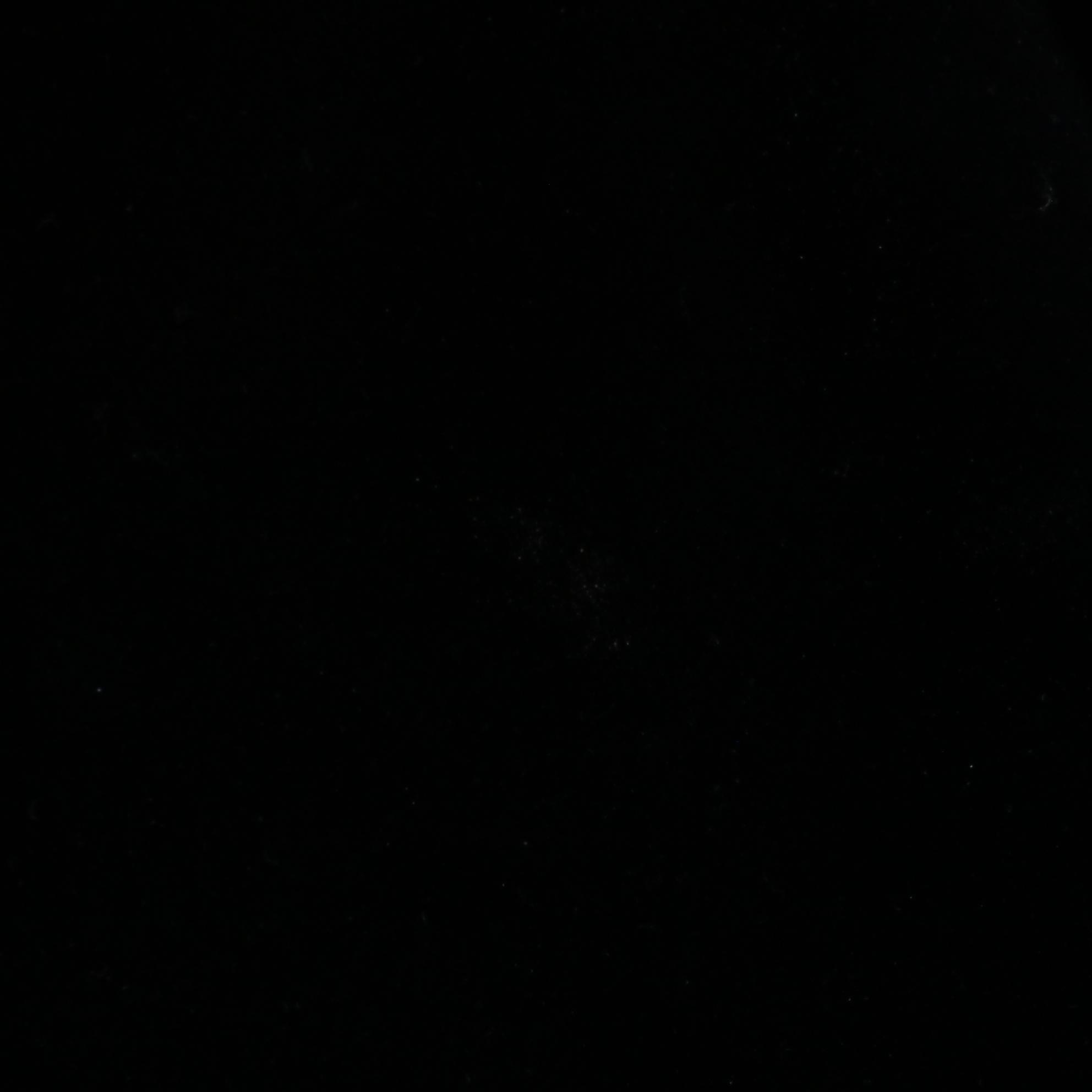 Chico's Travelers Long Sleeve Shirts and Elastic Waist Pants in Black Velour