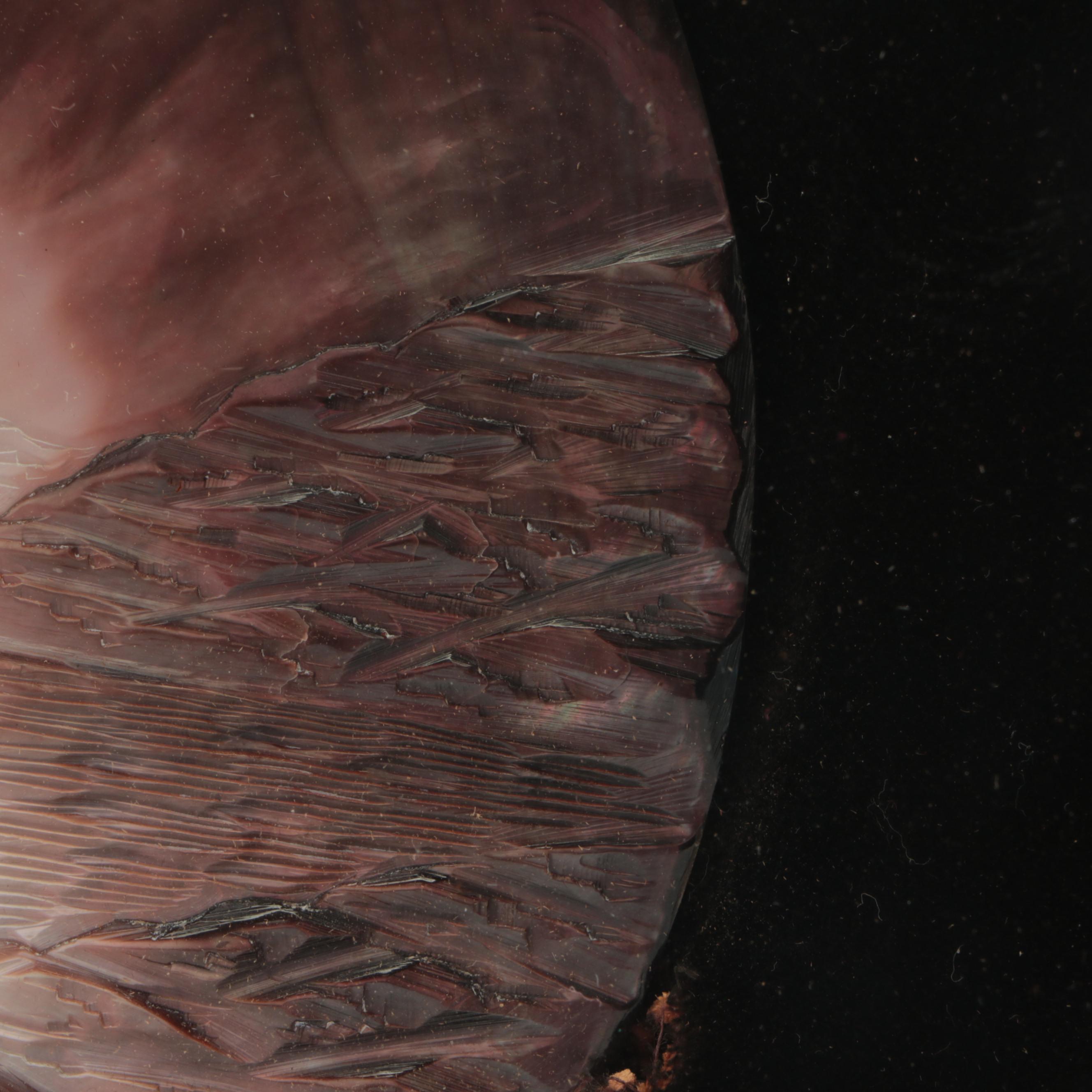 Carved Shell Relief Seascape with Fisherwoman in Shadowbox Frame