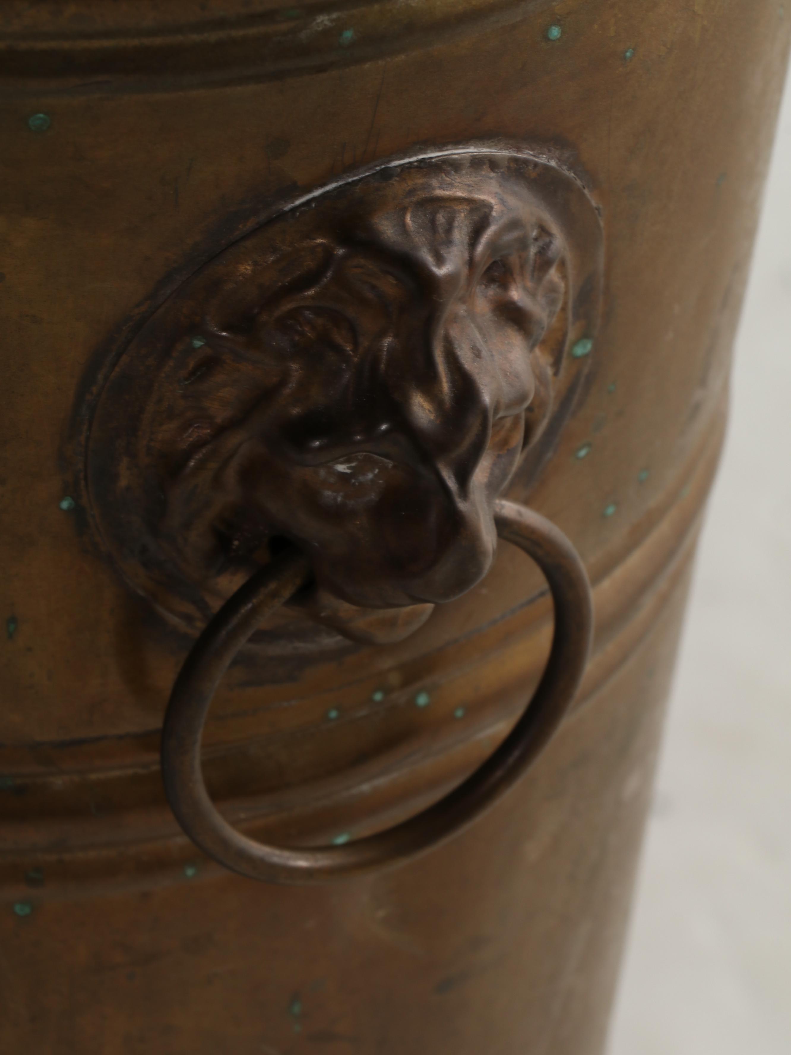 Lion and Ring Handled Brass Umbrella Stand with Branches