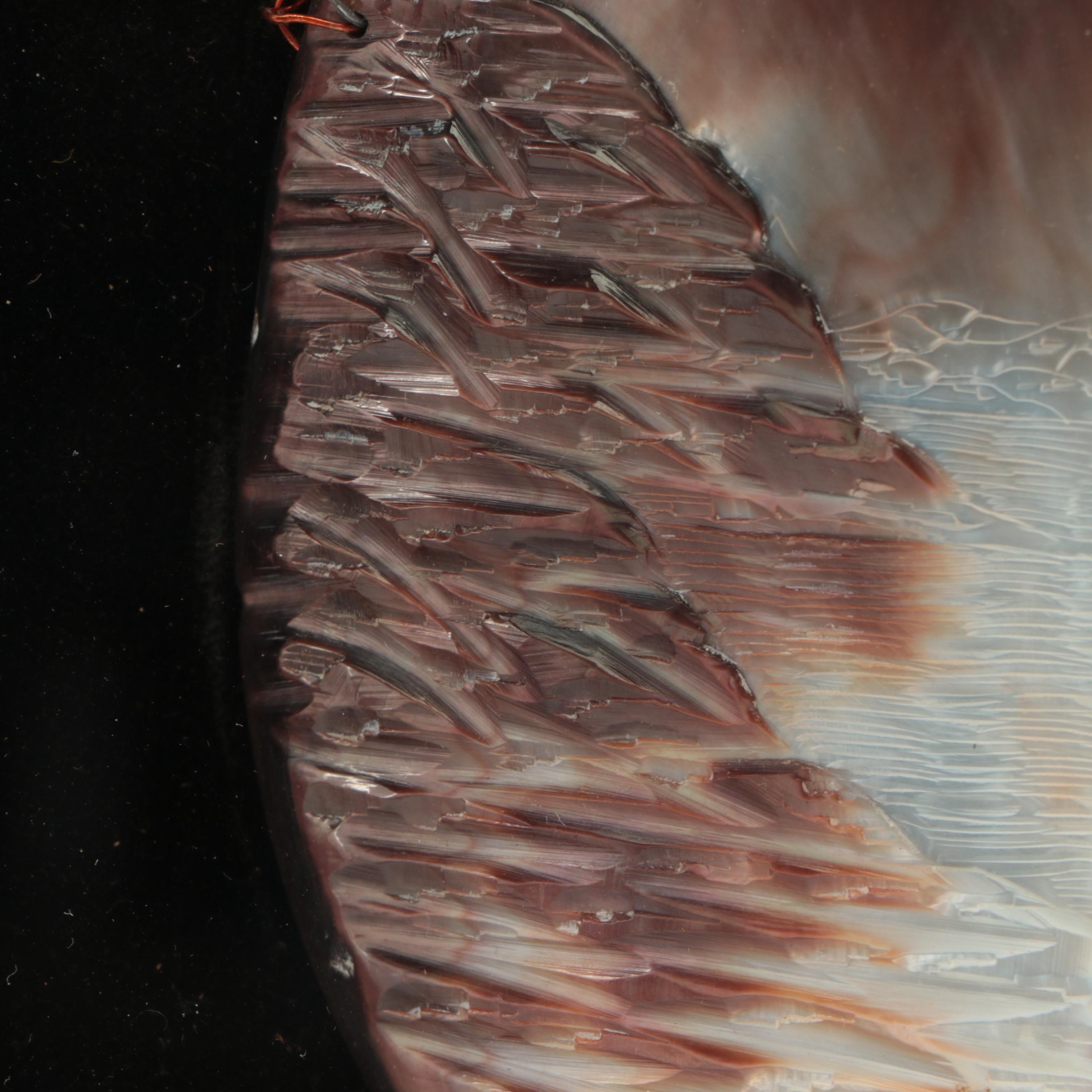 Carved Shell Relief Seascape with Fisherwoman in Shadowbox Frame