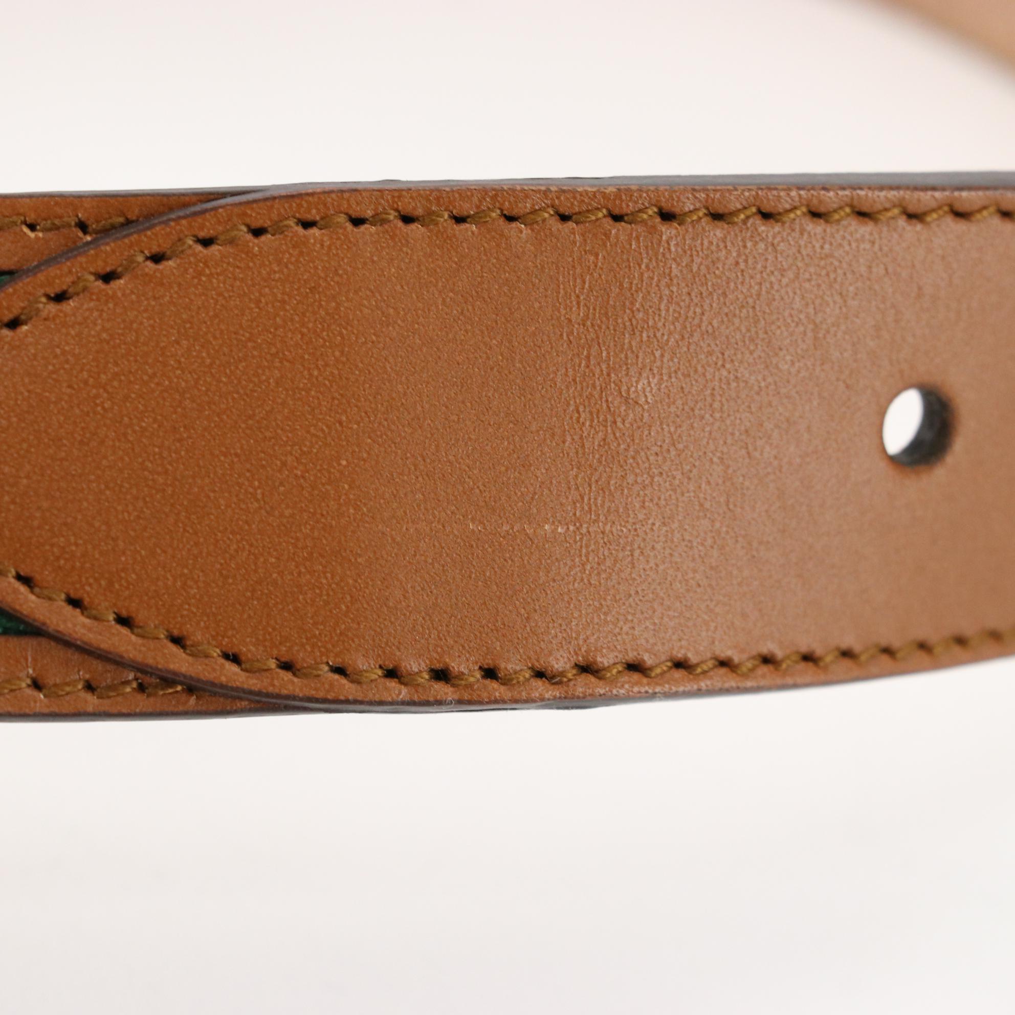 Gucci Web Canvas and Leather Belt