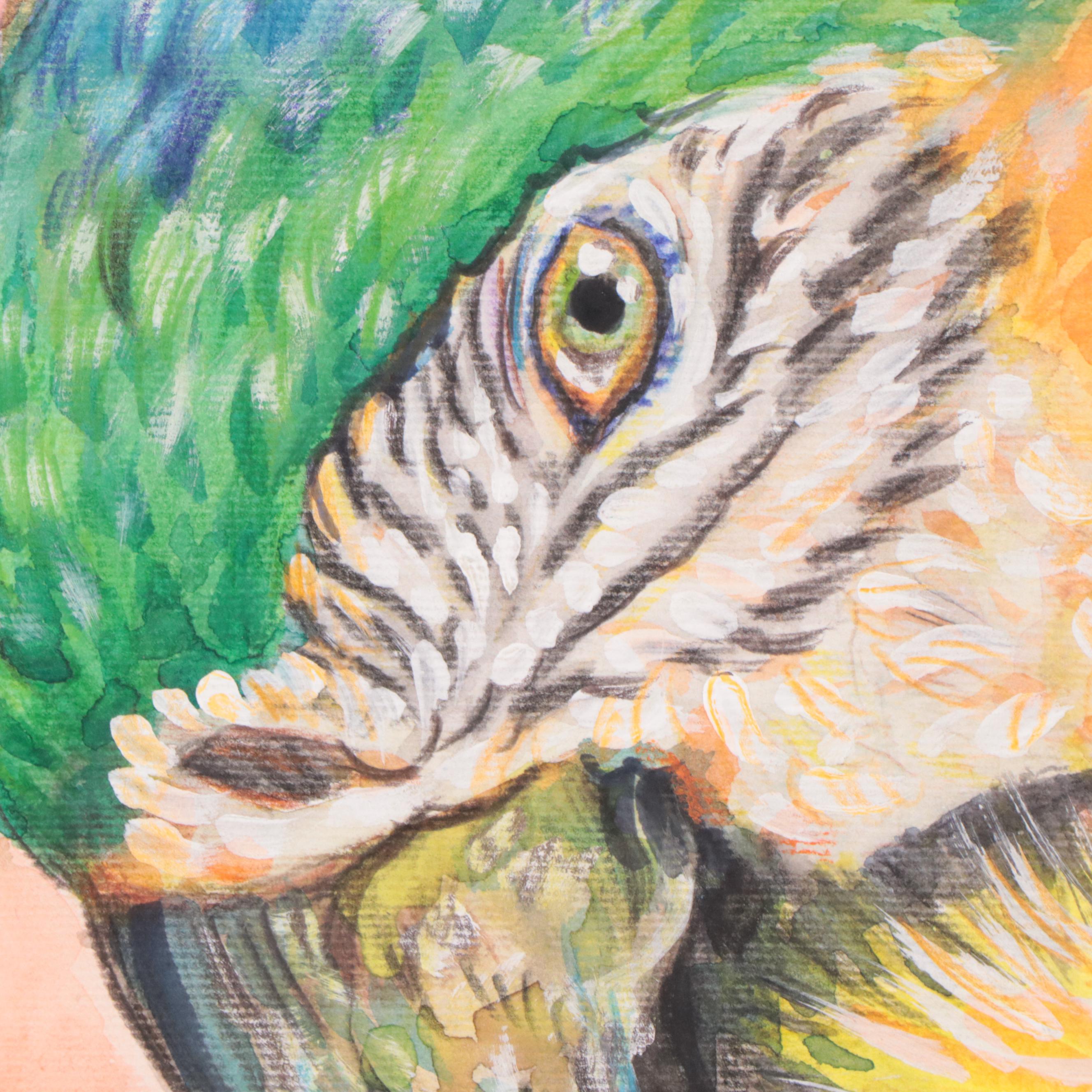 Watercolor Painting of Parrot, 2019