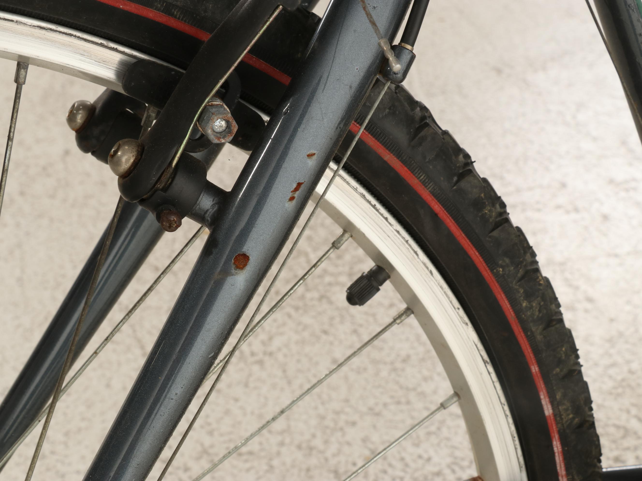 Kent 1800 On and Off Road Bicycle