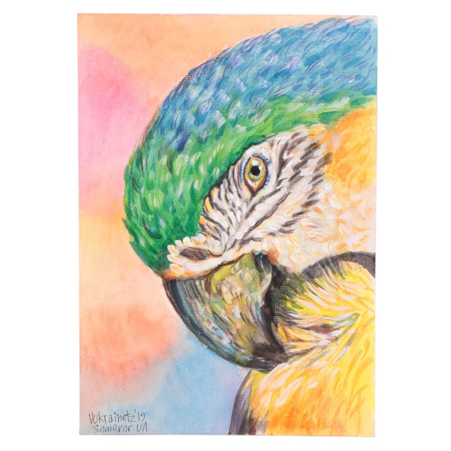 Watercolor Painting of Parrot, 2019