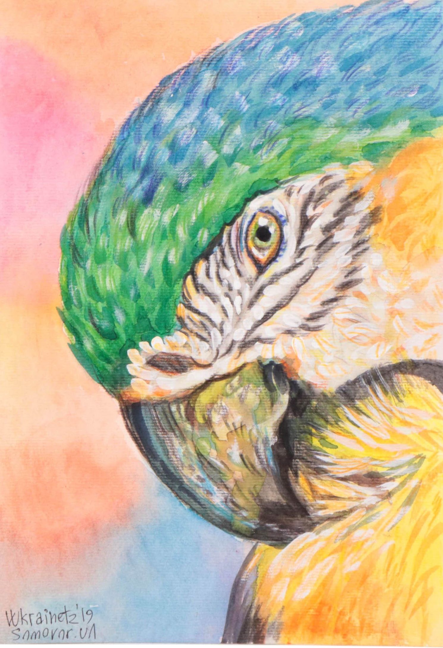 Watercolor Painting of Parrot, 2019