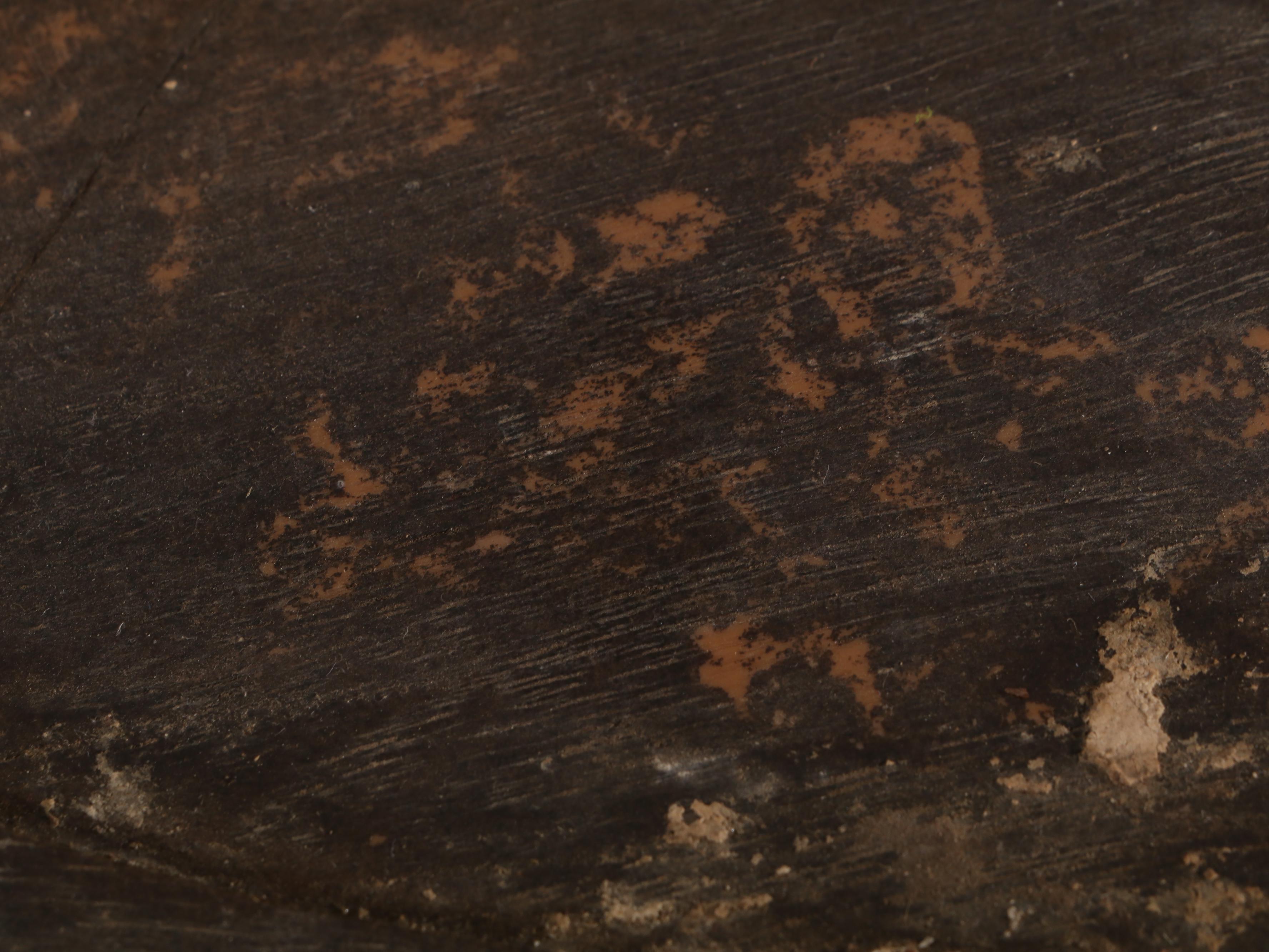 Budweiser World Champion Clydesdale Team Pendant Light