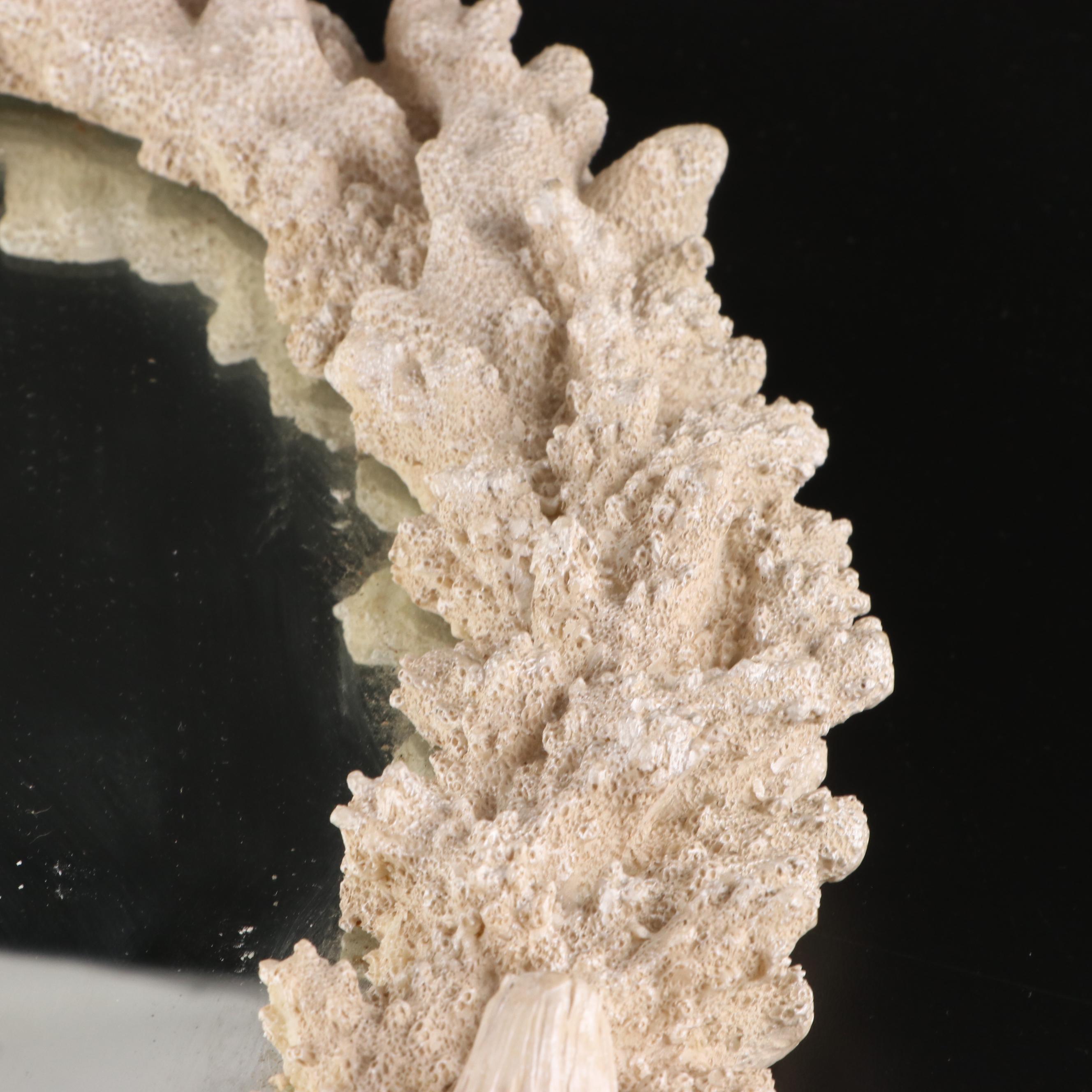 Resin Coral Wall Mirror with Queen Conch and Giant Triton Shells