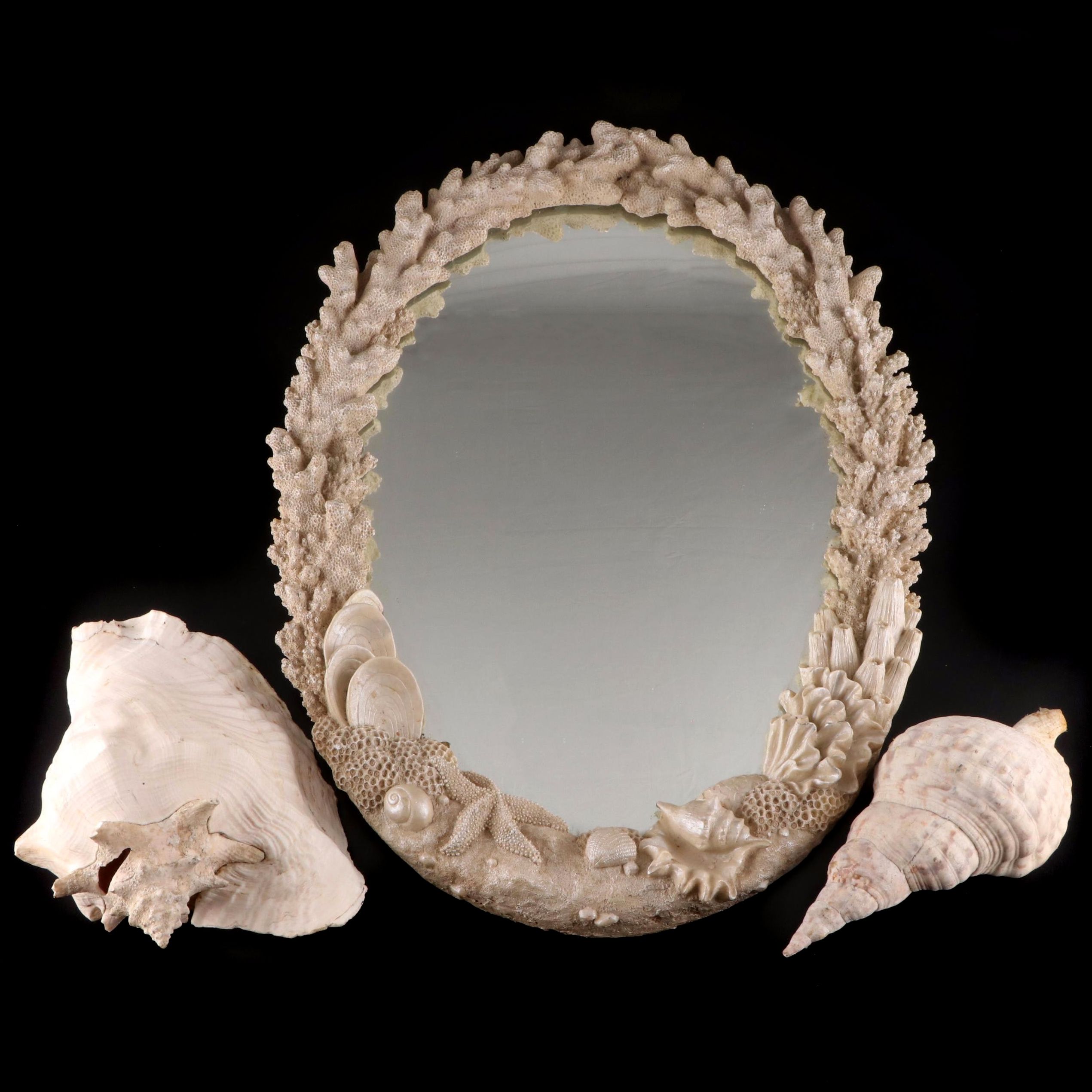 Resin Coral Wall Mirror with Queen Conch and Giant Triton Shells