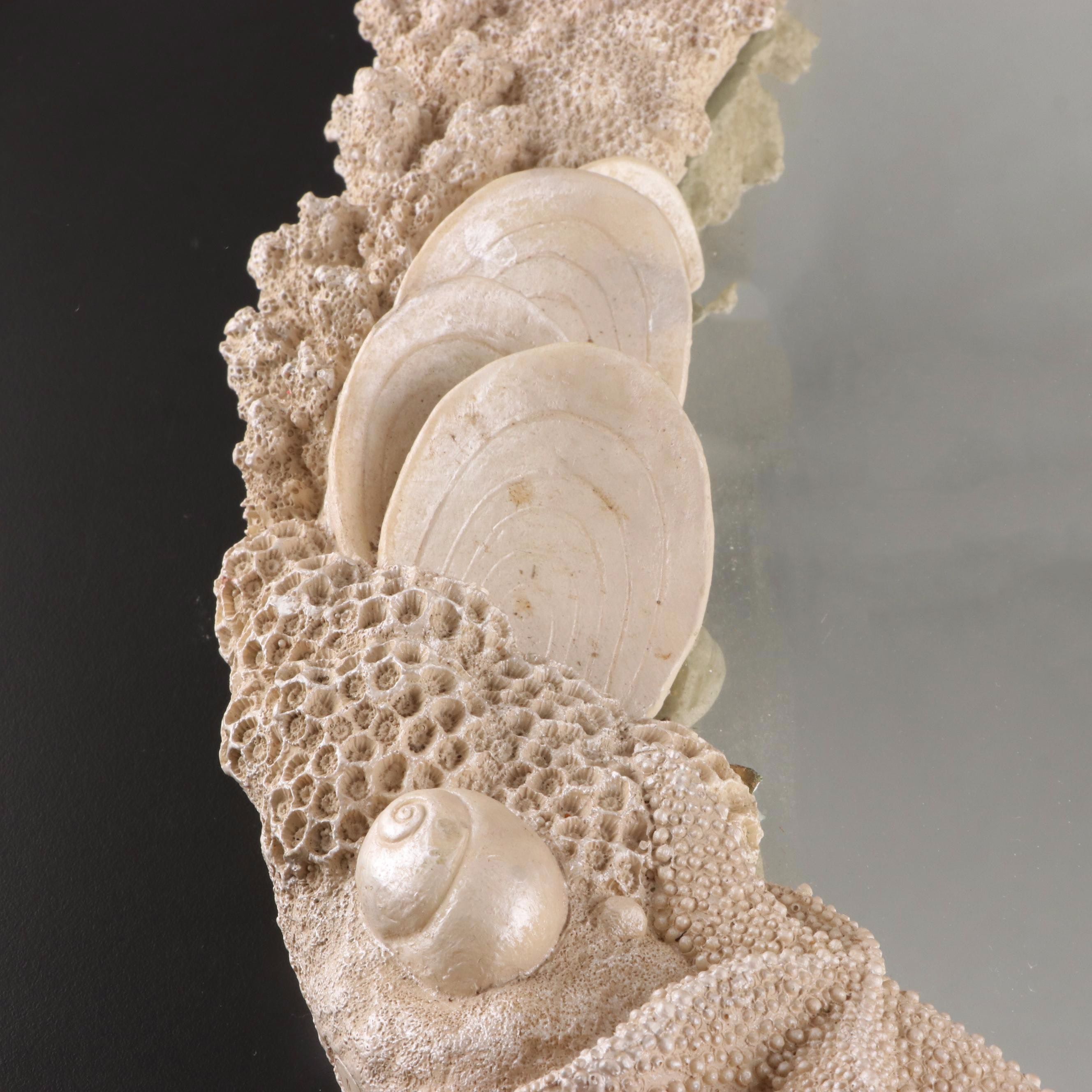 Resin Coral Wall Mirror with Queen Conch and Giant Triton Shells