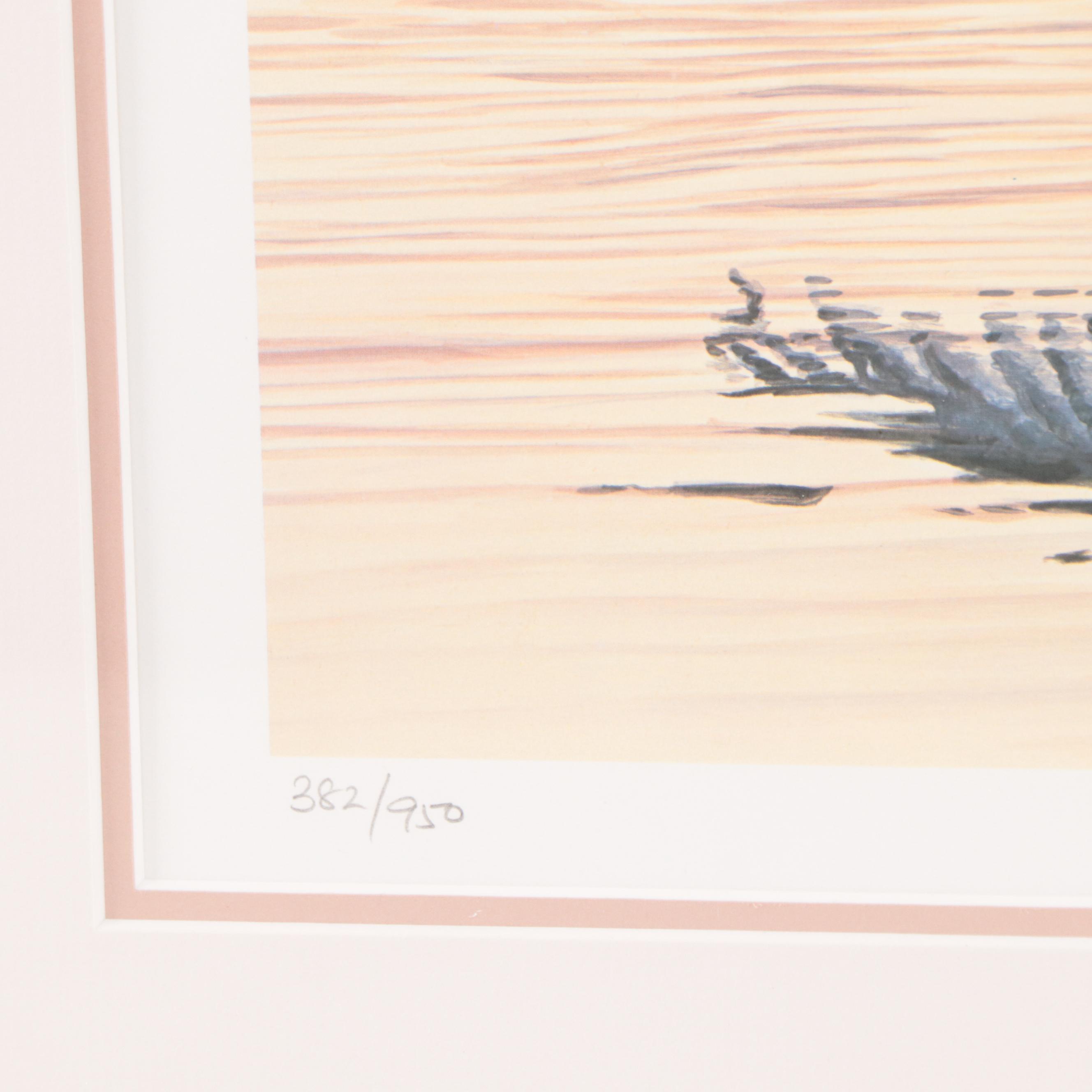 Ron Parker Offset Lithograph "Trumpeter Swan," 1987