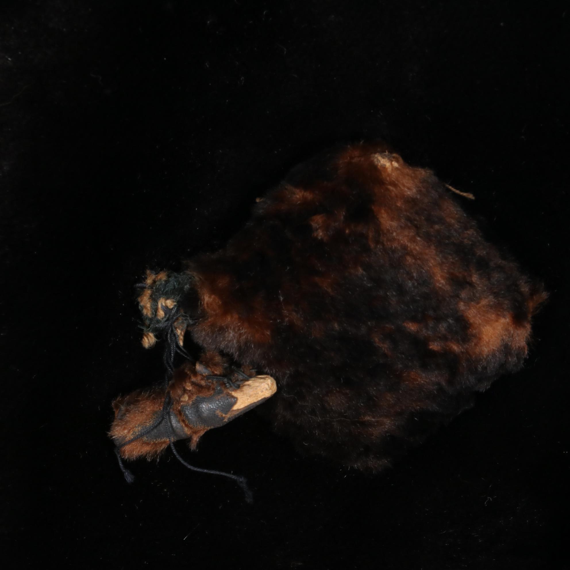 Victorian Era Velvet Fitted Coat with Fur Toggle Buttons