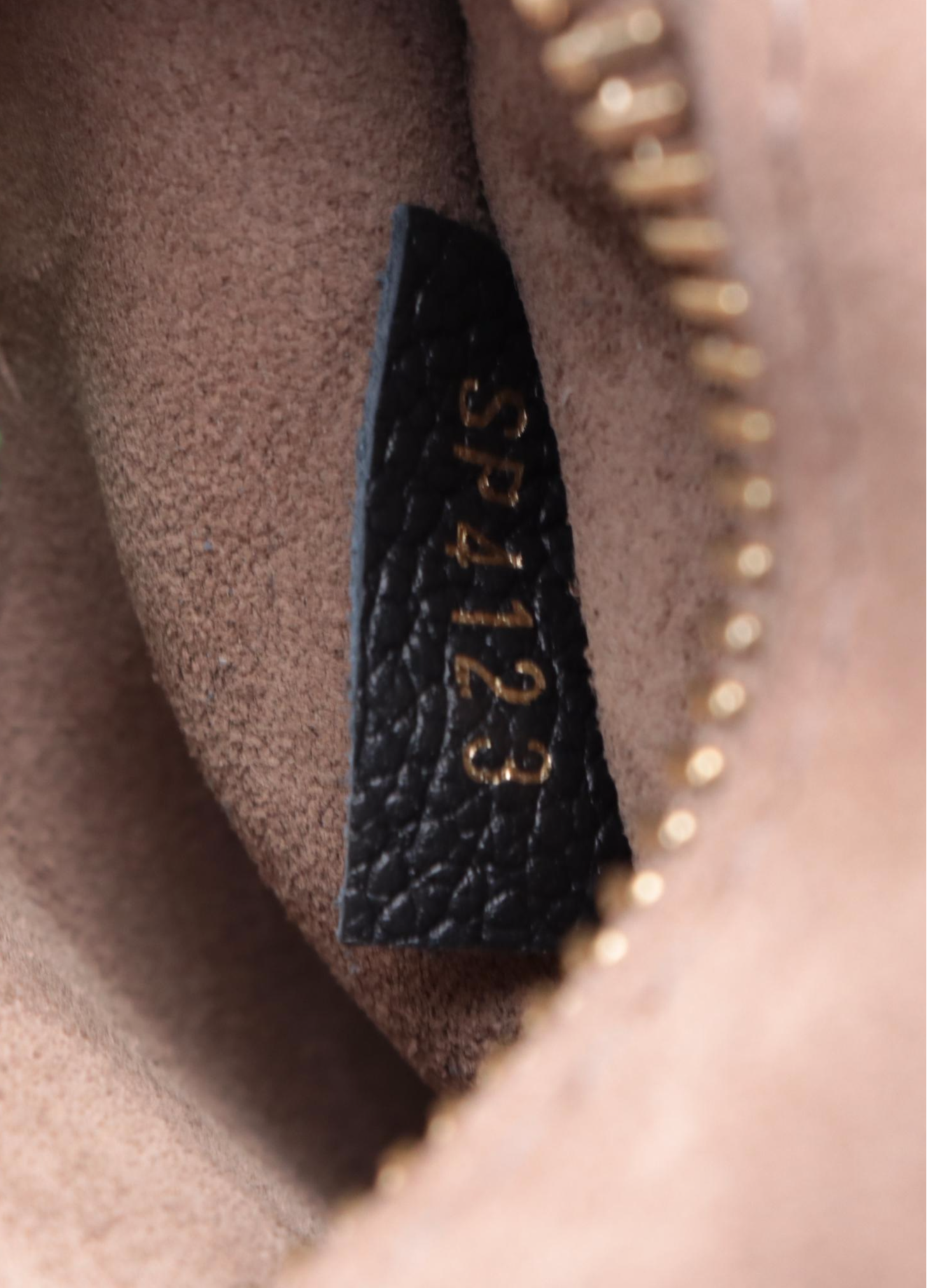 Louis Vuitton W PM Bag in Monogram Canvas and Bicolor Leather