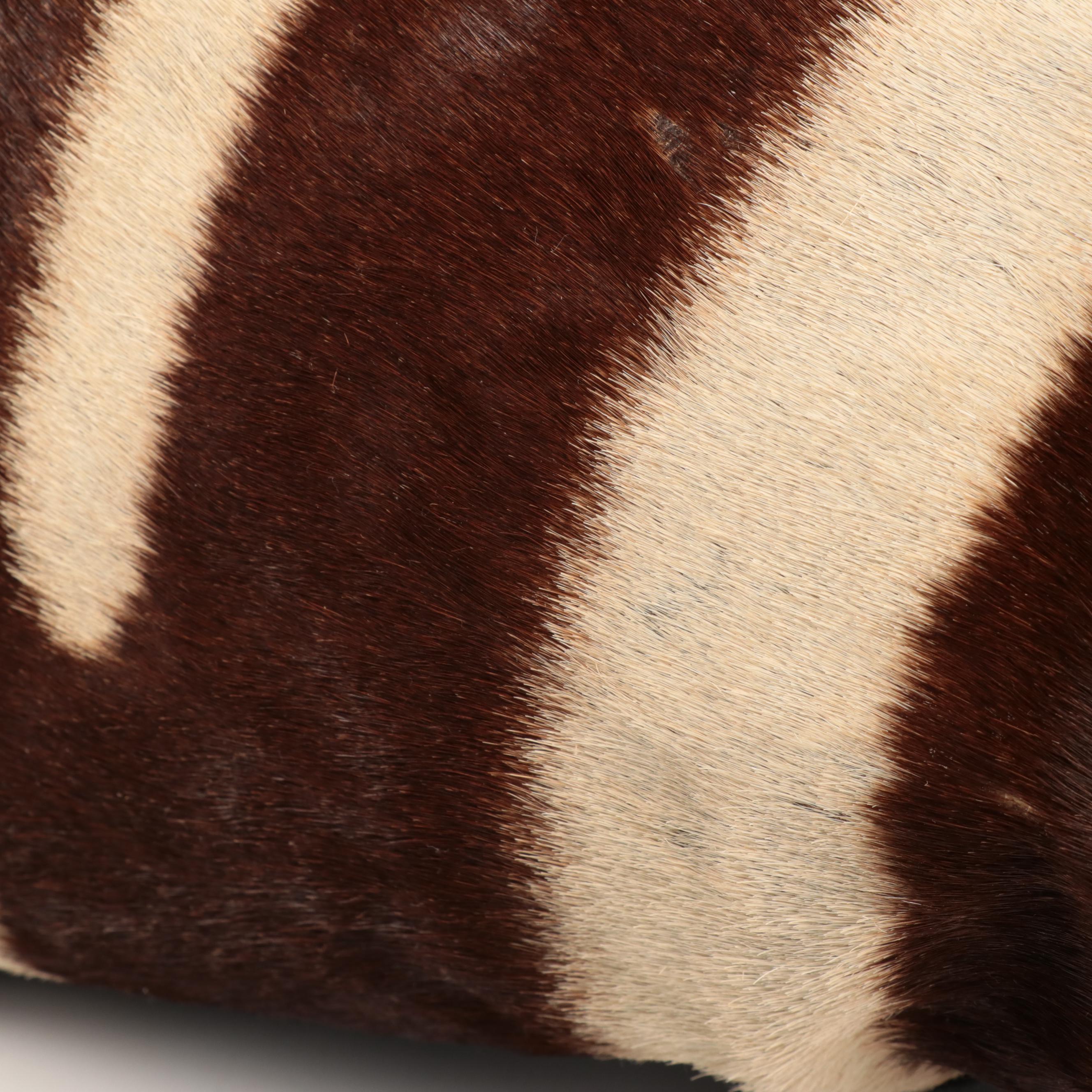 Dyed Cowhide Accent Pillows with Hide Accent Rug