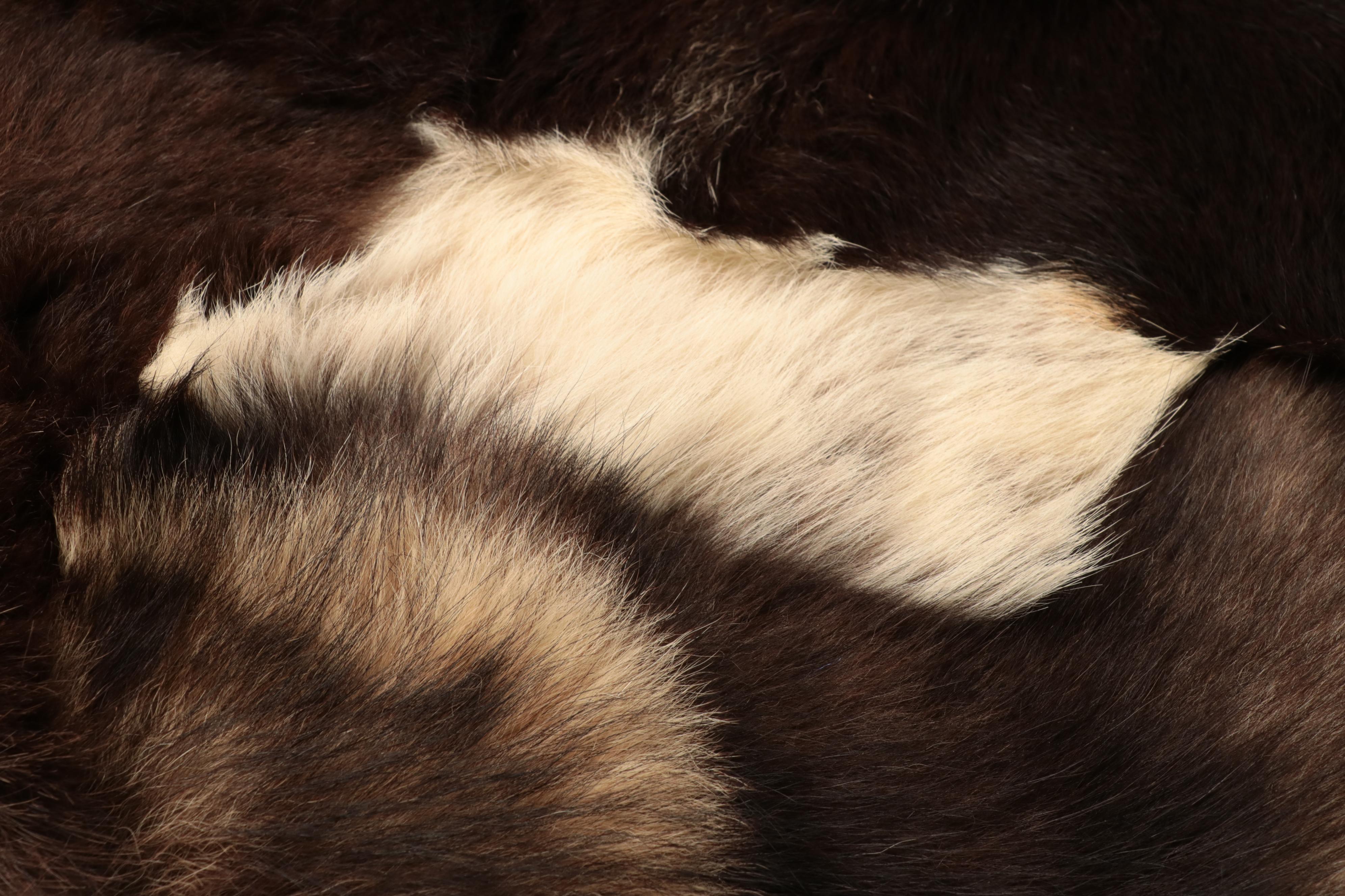 Dyed Cowhide Accent Pillows with Hide Accent Rug