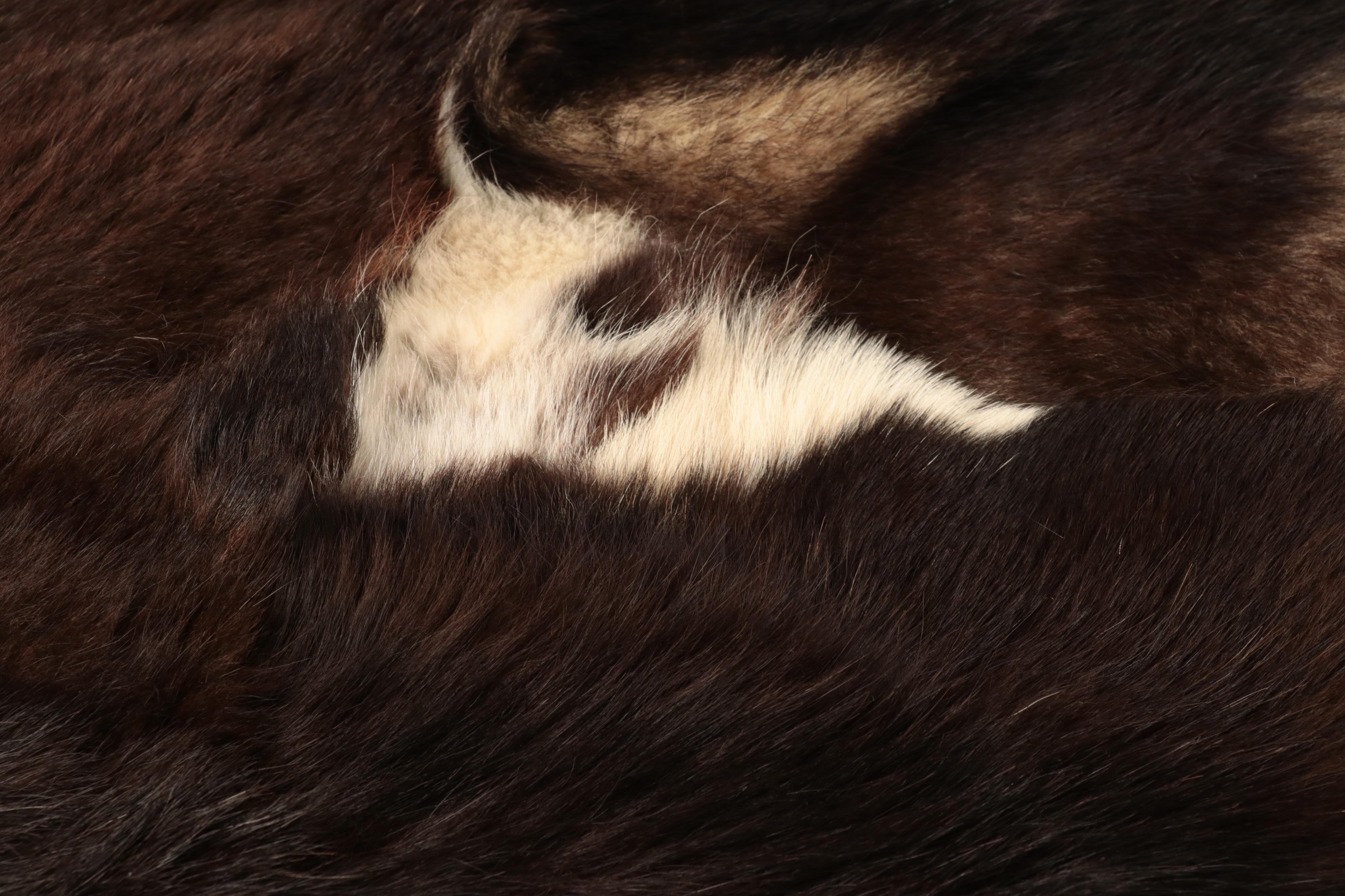 Dyed Cowhide Accent Pillows with Hide Accent Rug