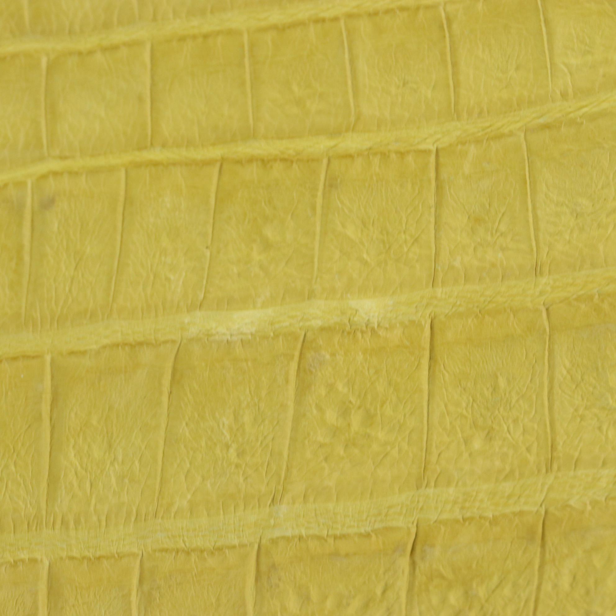 The Barfield Collection Caiman Skin Clutches