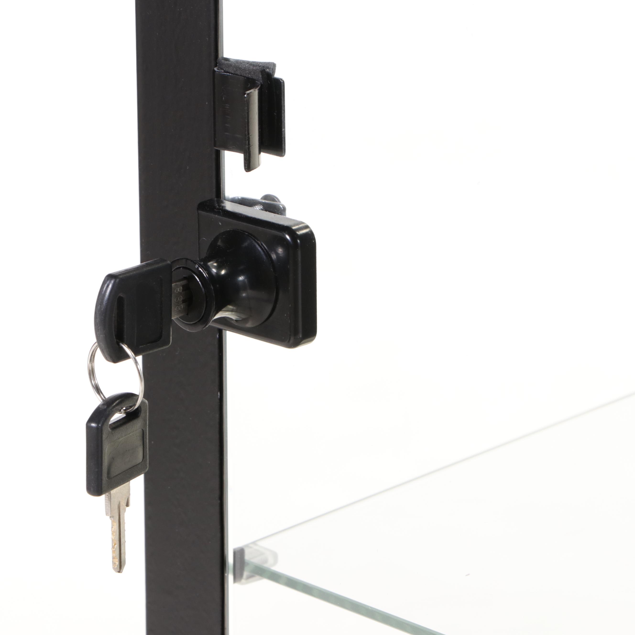 Contemporary Blackened Metal and Glass Display Cabinet