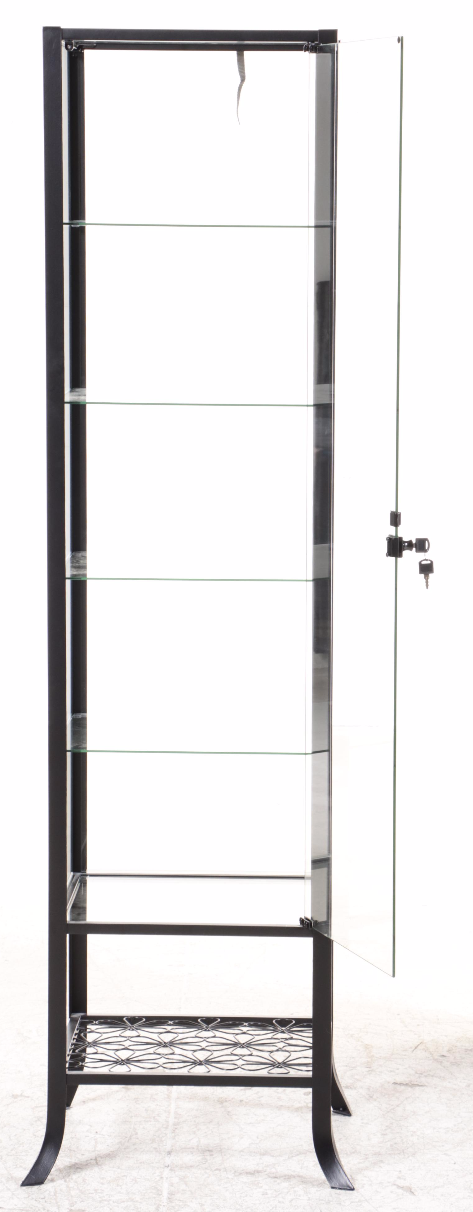 Contemporary Blackened Metal and Glass Display Cabinet