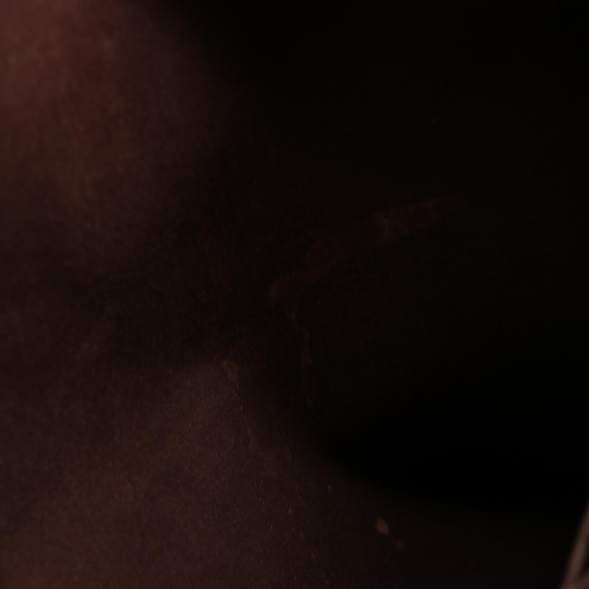 Louis Vuitton Brentwood Tote Bag in Monogram Vernis and Vachetta Leather