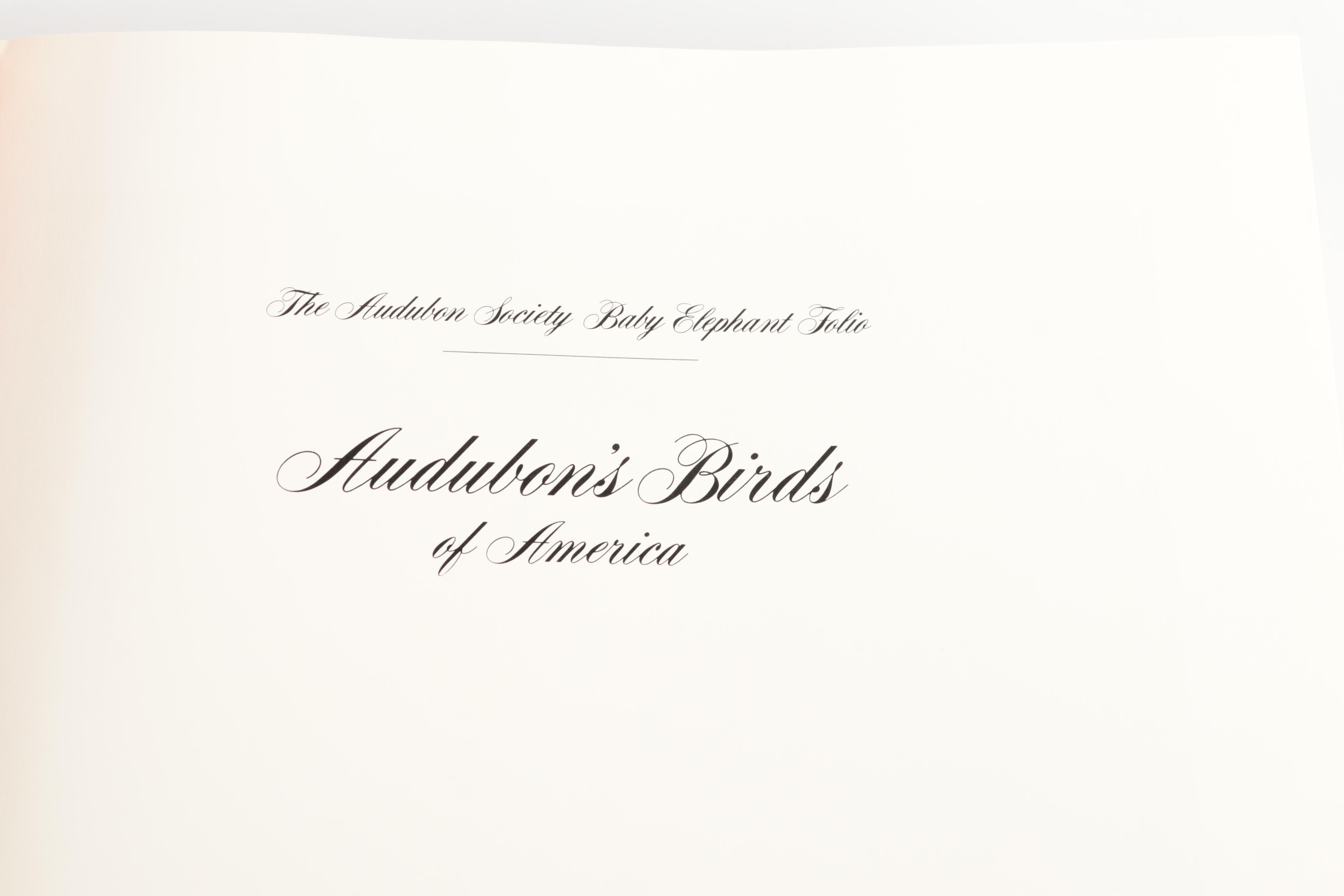Double Signed "Audubon's Birds of America" Baby Elephant Folio by the Petersons