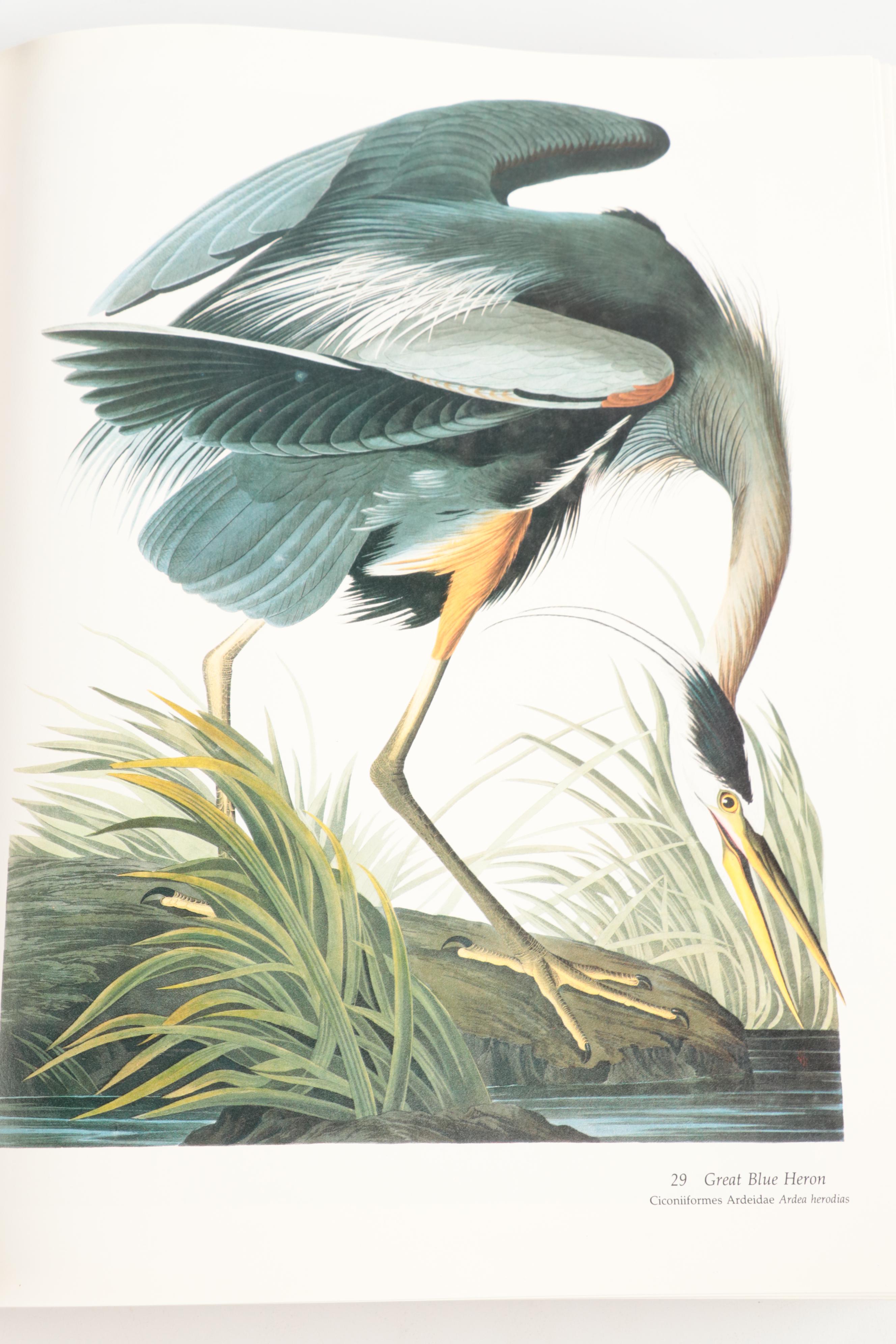 Double Signed "Audubon's Birds of America" Baby Elephant Folio by the Petersons