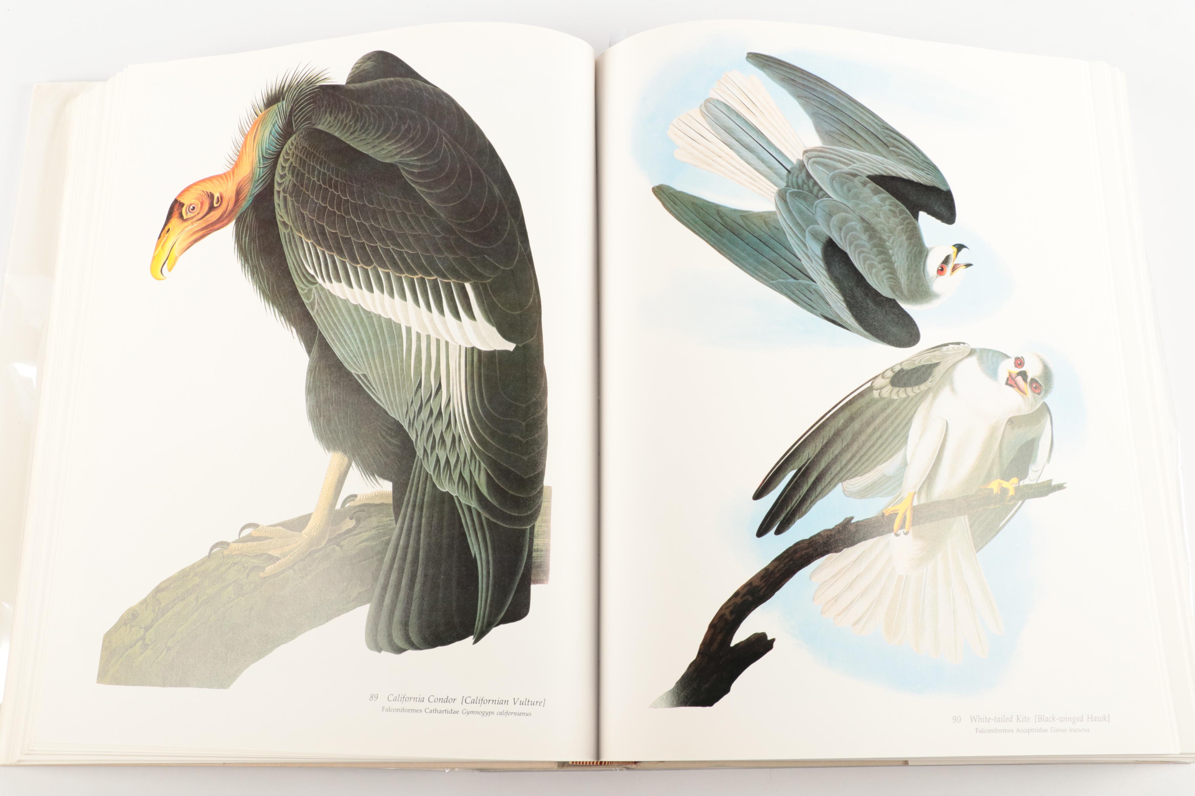 Double Signed "Audubon's Birds of America" Baby Elephant Folio by the Petersons