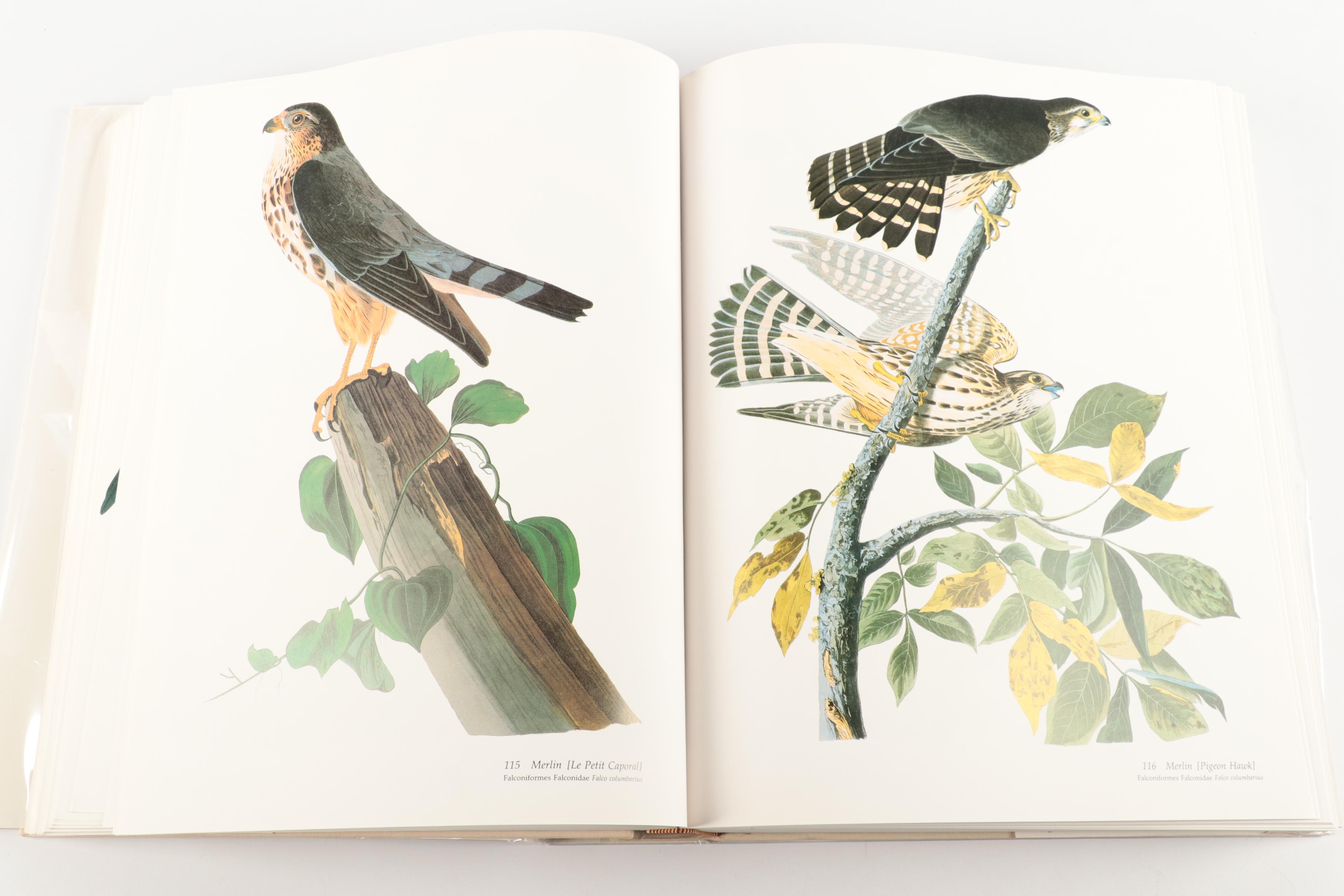 Double Signed "Audubon's Birds of America" Baby Elephant Folio by the Petersons