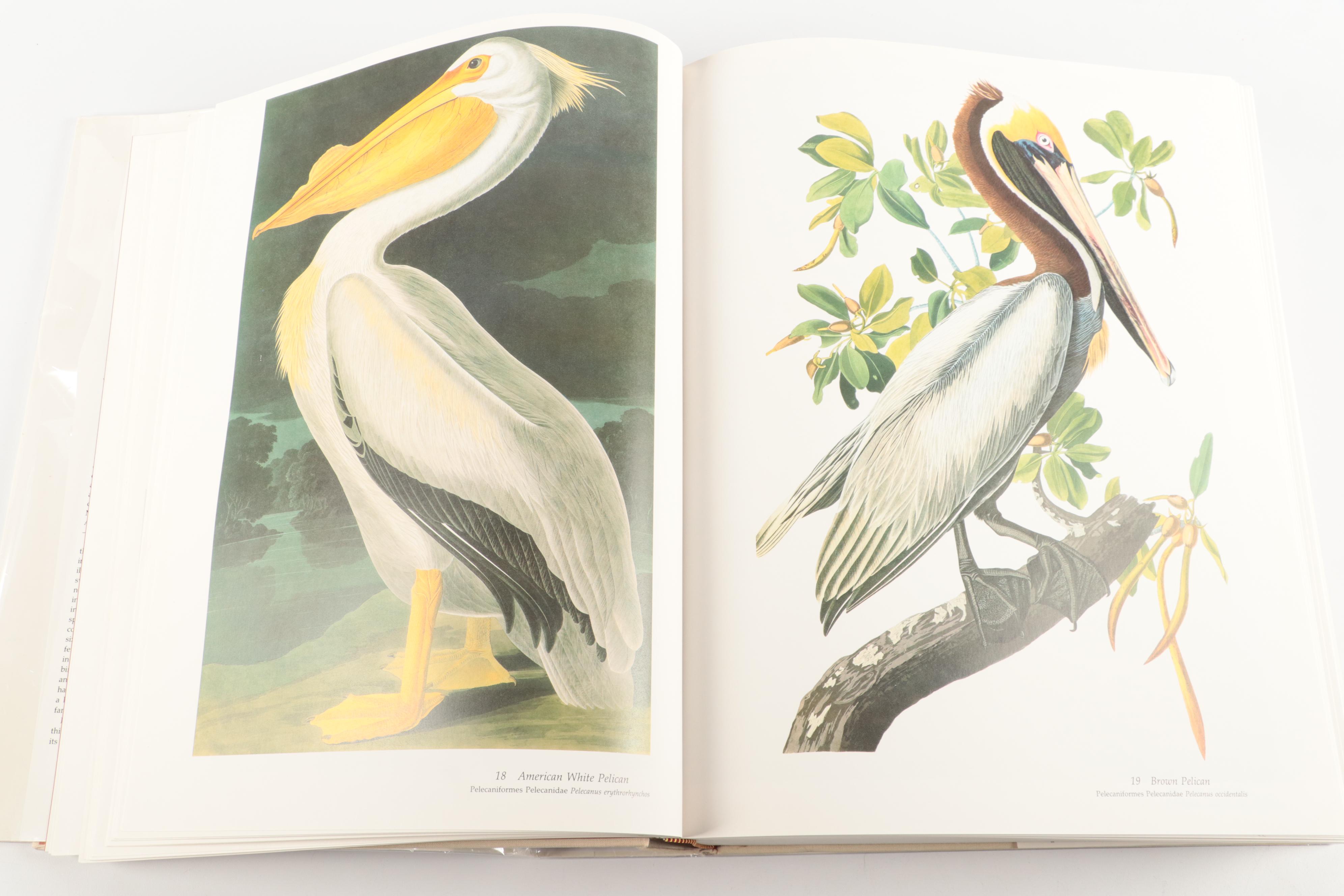 Double Signed "Audubon's Birds of America" Baby Elephant Folio by the Petersons