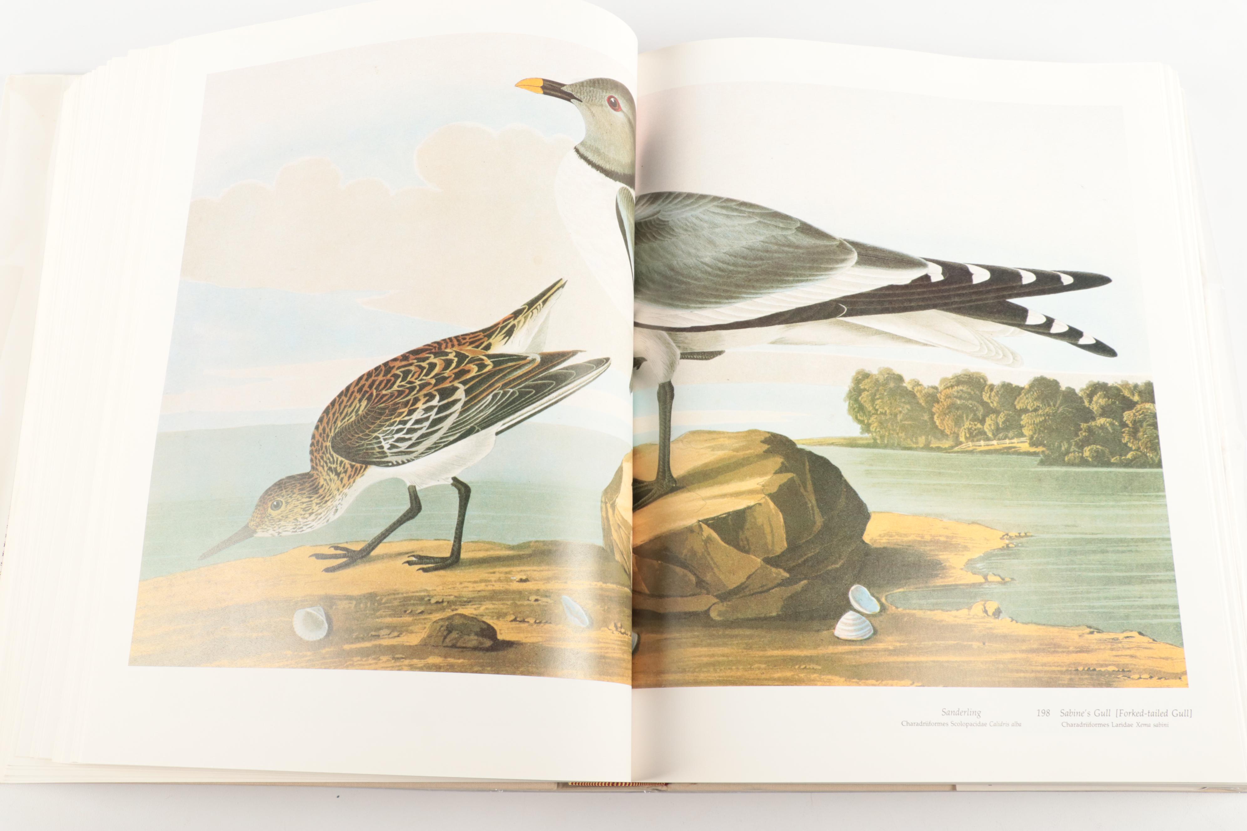 Double Signed "Audubon's Birds of America" Baby Elephant Folio by the Petersons