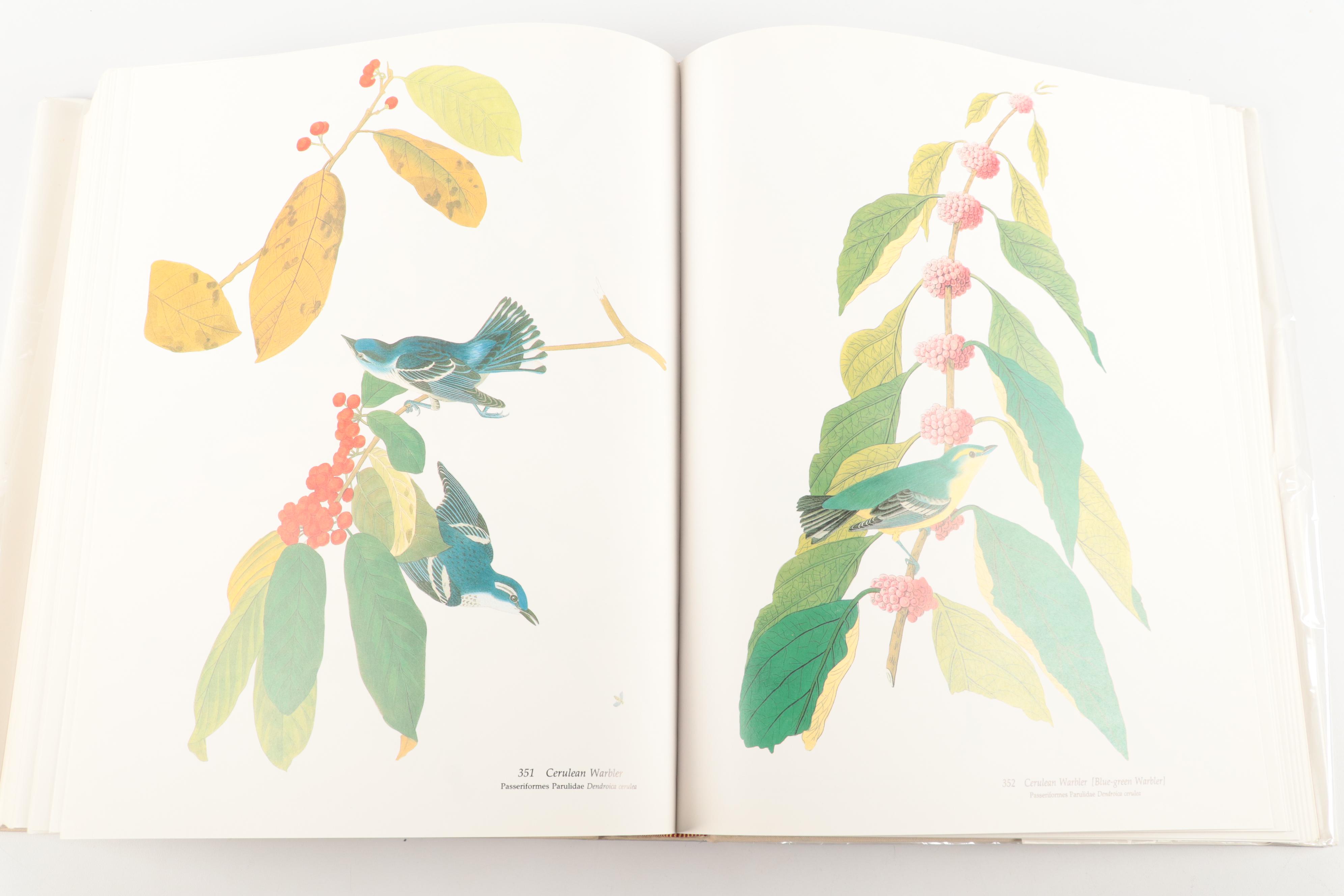 Double Signed "Audubon's Birds of America" Baby Elephant Folio by the Petersons