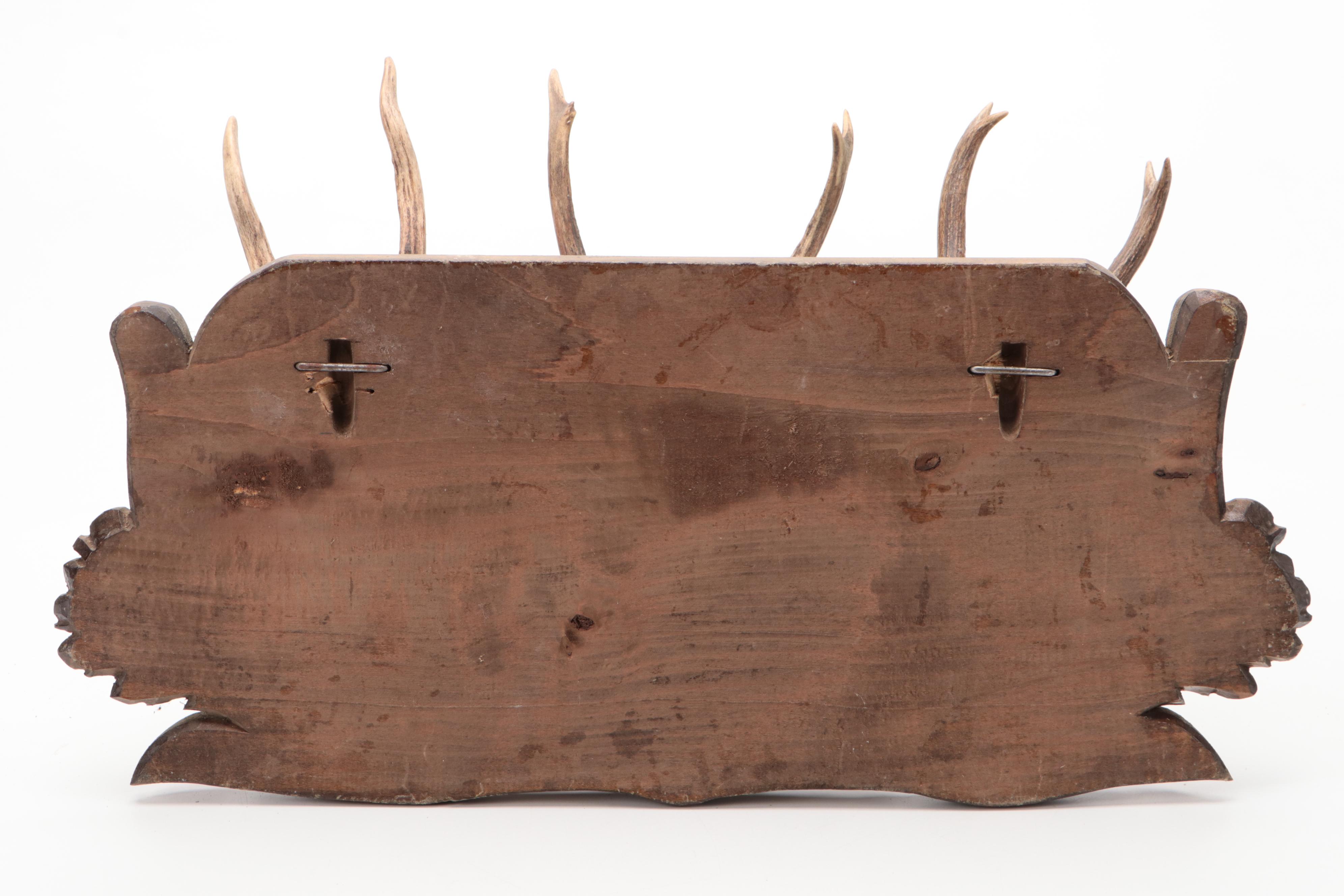 Antler Mount Collection with Carved Wood Plaques