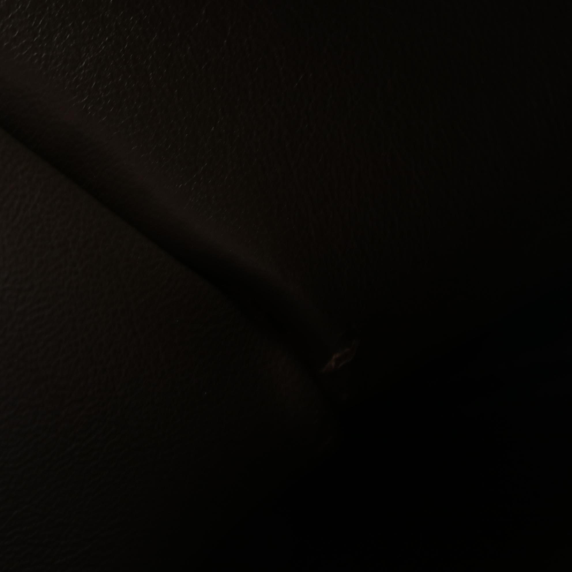 Céline Medium Trapeze Two-Way Bag in Suede and Grained Leather