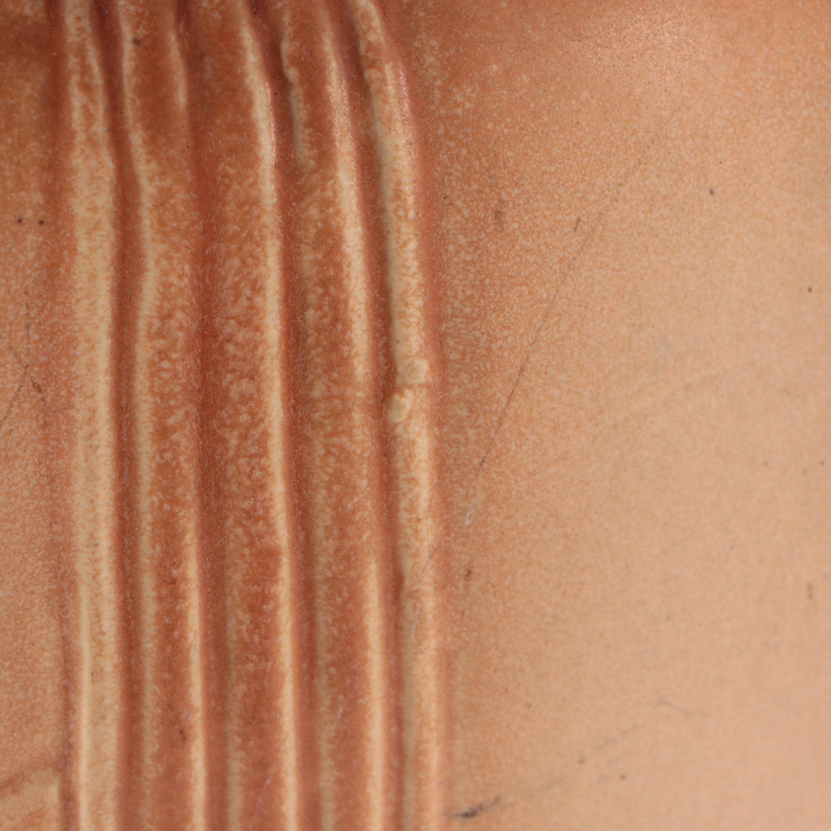 Robinson Ransbottom "Tionesta" Ceramic Handled Vase