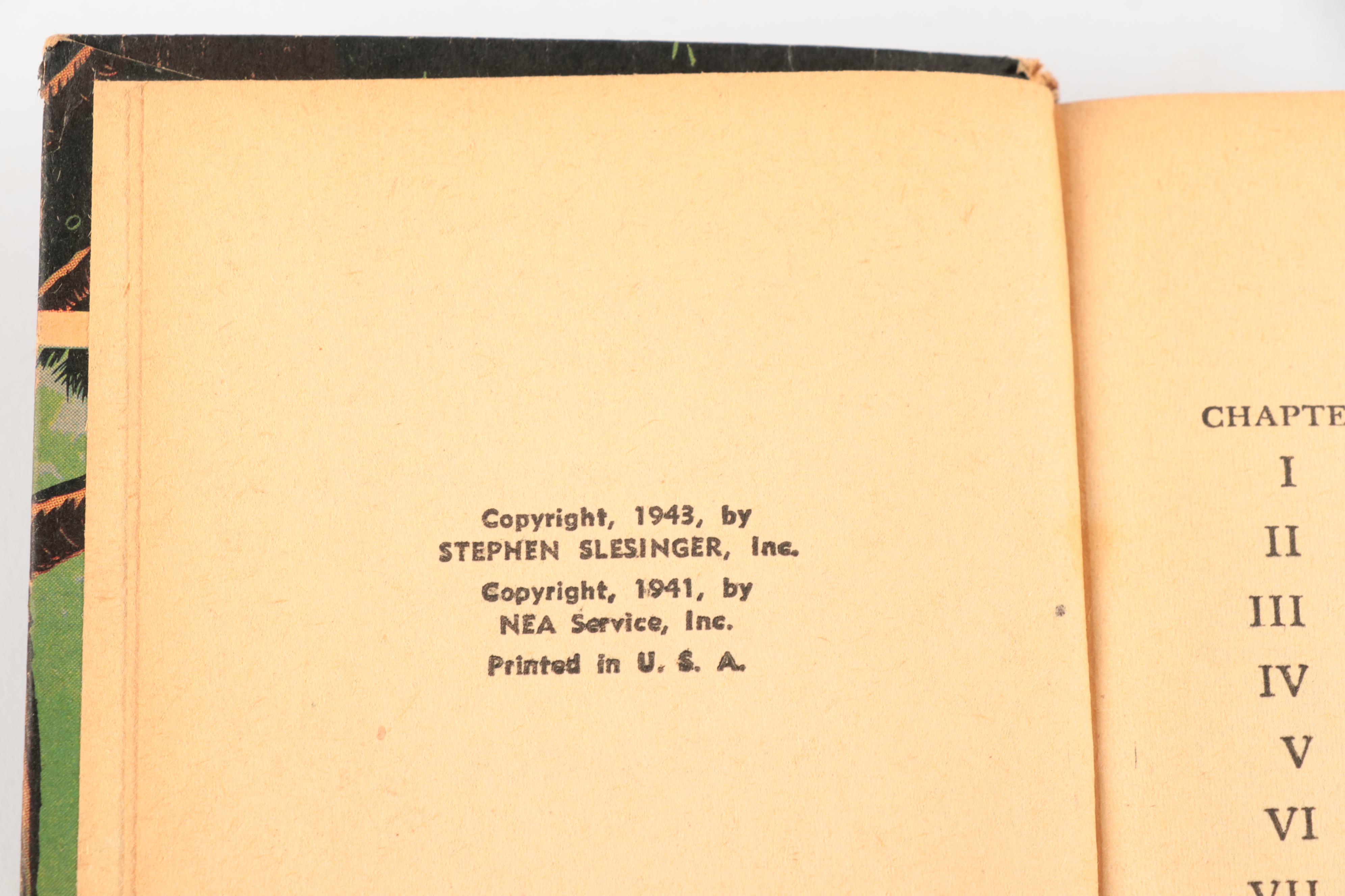 Illustrated "The Lone Ranger and the Silver Bullets" by Fran Striker and More